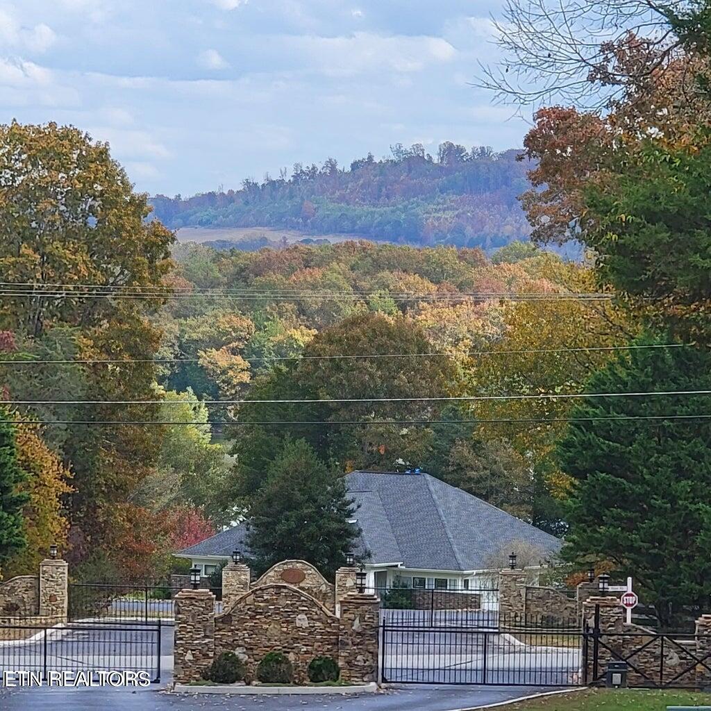 374 Walking Horse Trail Rockwood TN 37854