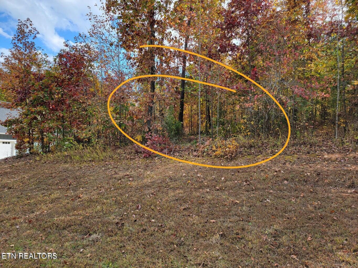 374 Walking Horse Trail Rockwood TN 37854