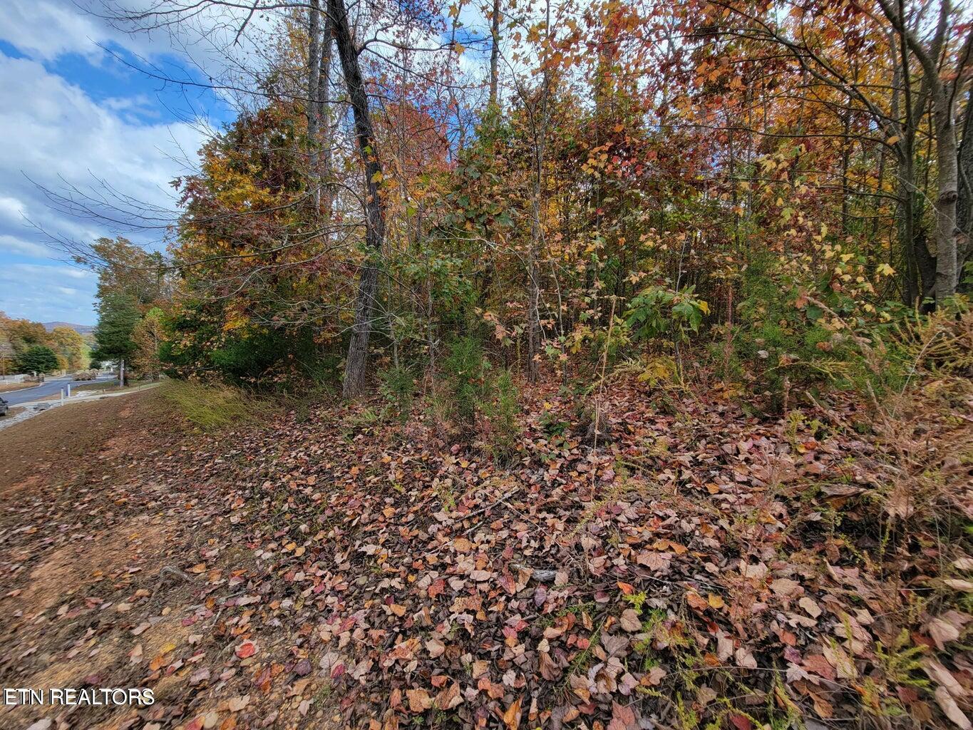 374 Walking Horse Trail Rockwood TN 37854