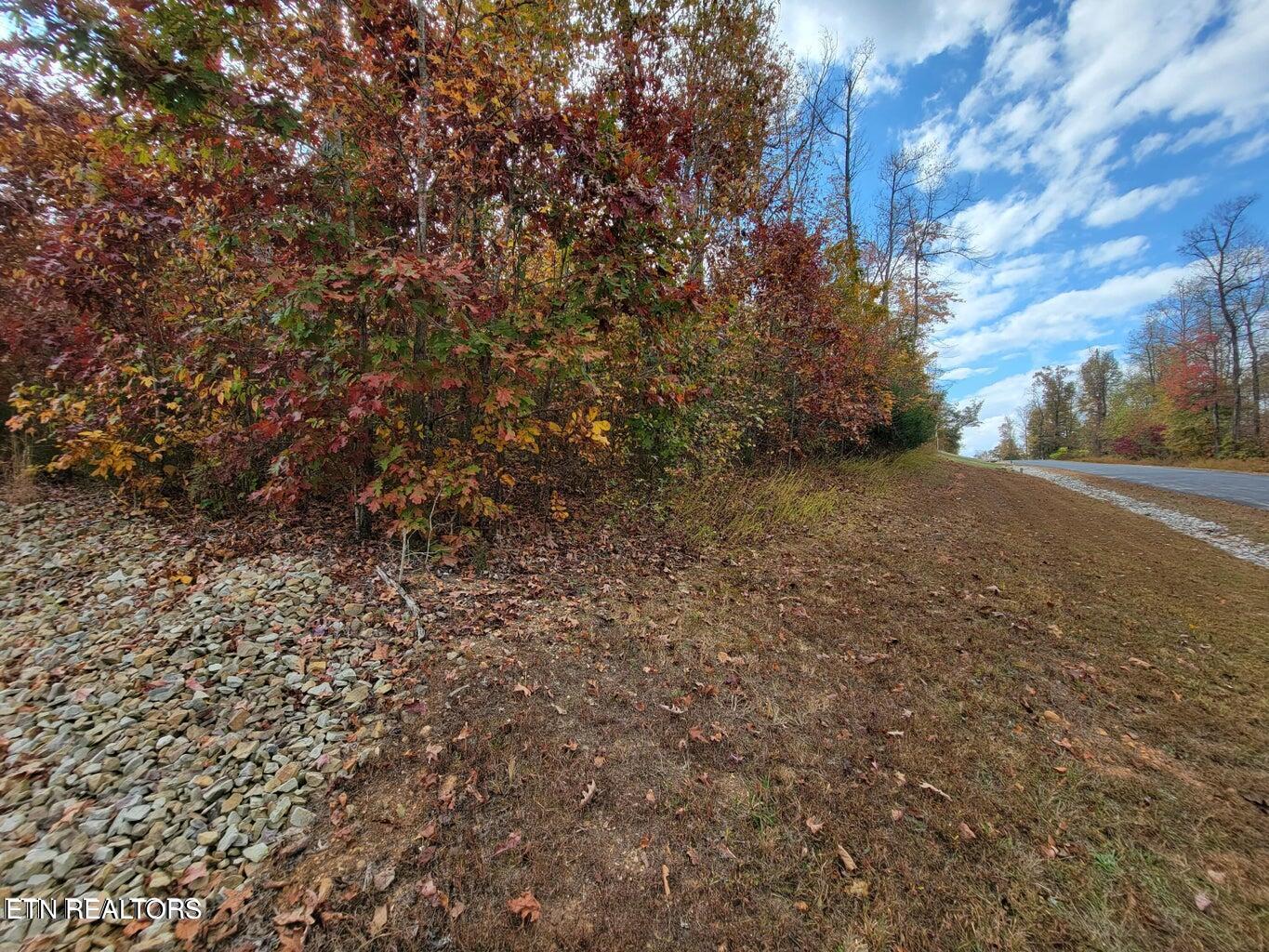 374 Walking Horse Trail Rockwood TN 37854