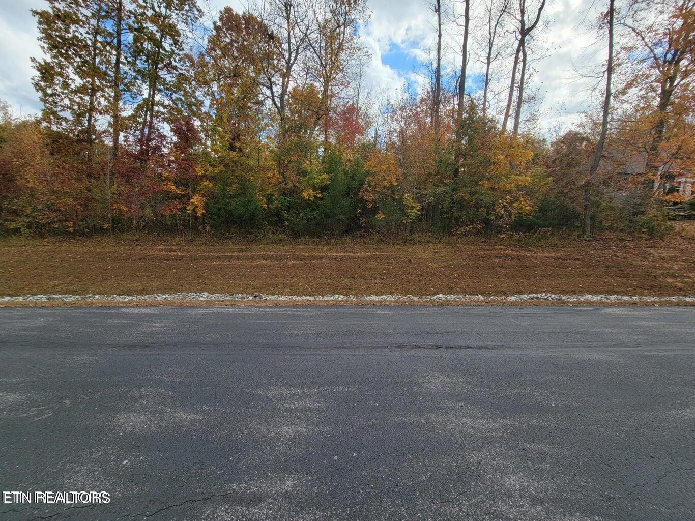 374 Walking Horse Trail Rockwood TN 37854