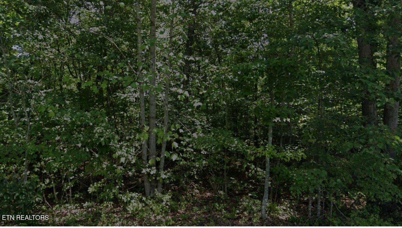 1001 Pahue Drive Crossville TN 38572