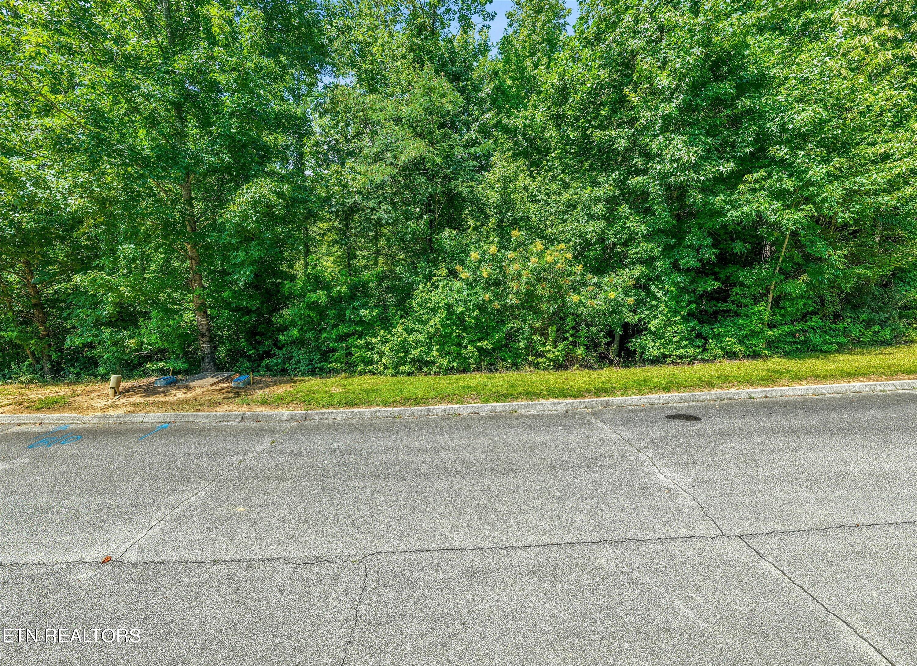 35 Emory Cove Drive Harriman TN 37748