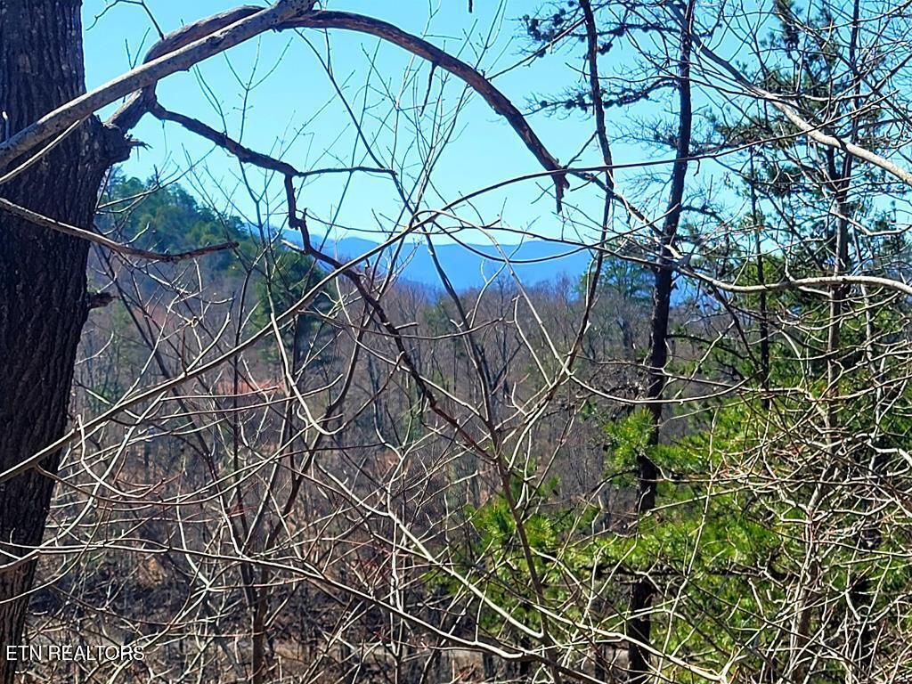 3328 Sugar Maple Loop Road Sevierville TN 37862