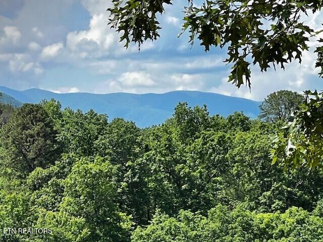 3328 Sugar Maple Loop Road Sevierville TN 37862
