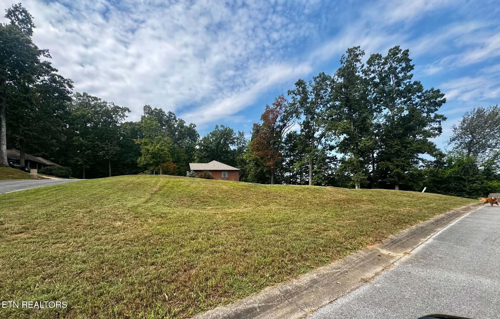 Lot 7 Friar Wood Lane Sevierville TN 37876