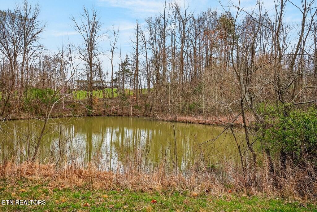 00 Marie Lane Red Boiling Springs TN 37150