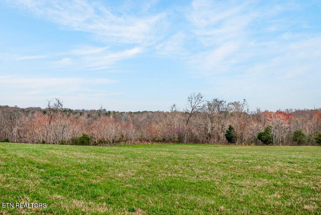 00 Marie Lane Red Boiling Springs TN 37150