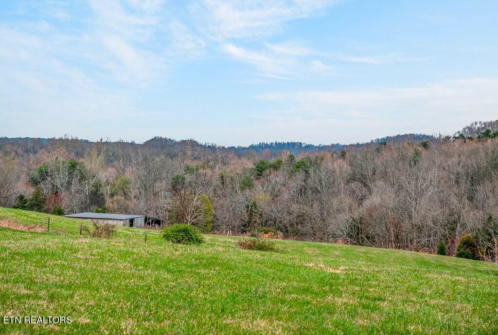 00 Marie Lane Red Boiling Springs TN 37150