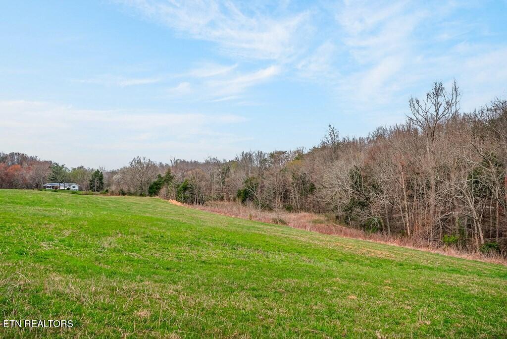 00 Marie Lane Red Boiling Springs TN 37150