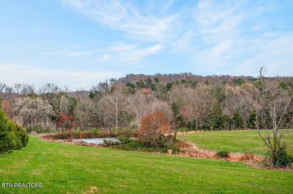 00 Marie Lane Red Boiling Springs TN 37150