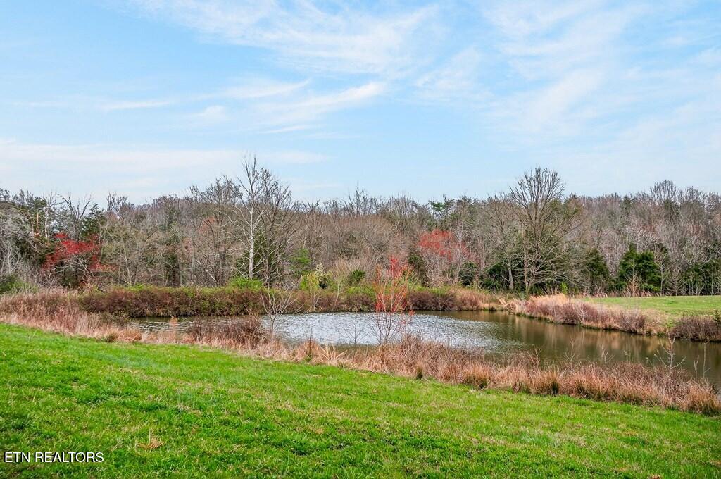 00 Marie Lane Red Boiling Springs TN 37150