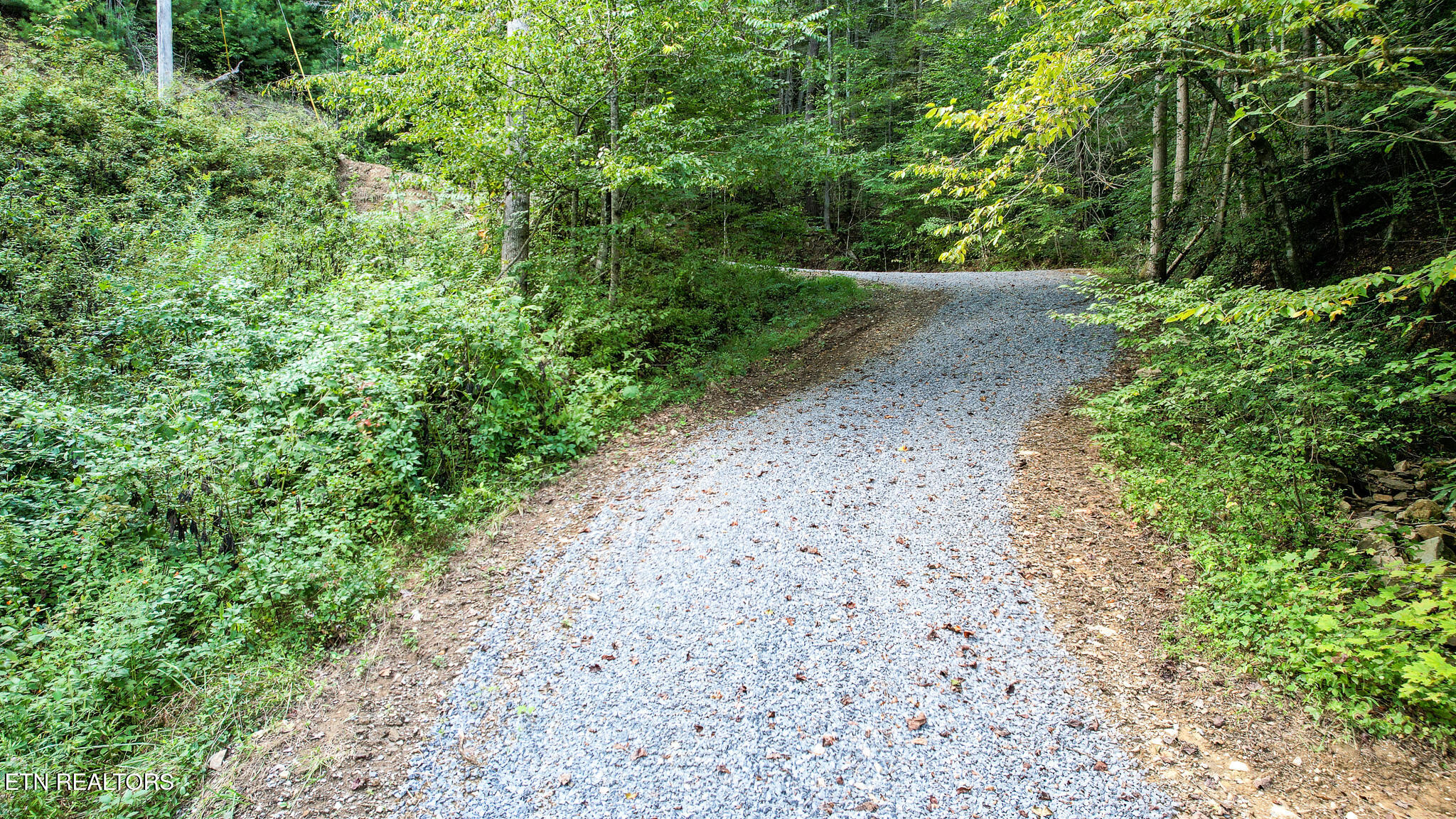 740 Johns Creek Road Del Rio TN 37727