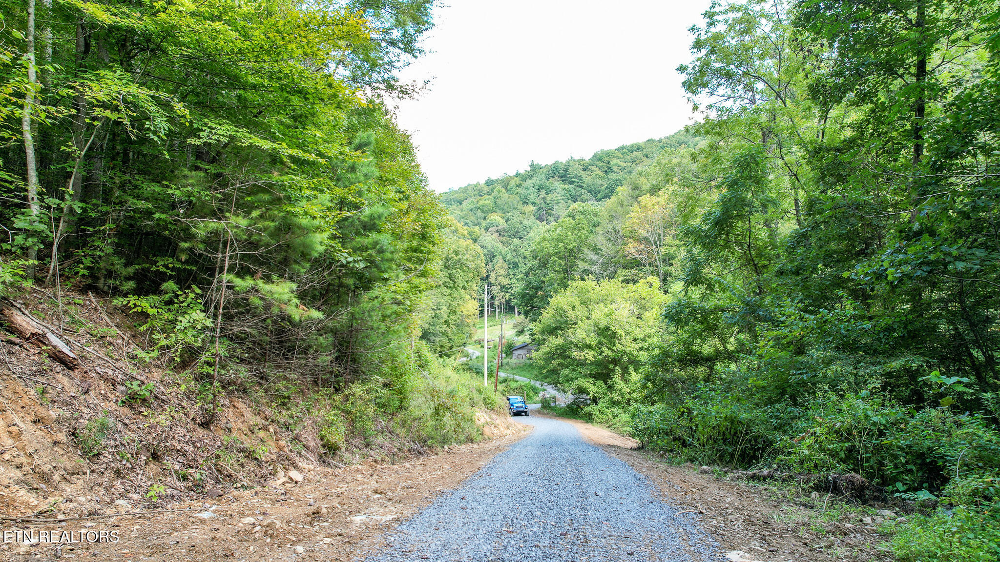 740 Johns Creek Road Del Rio TN 37727