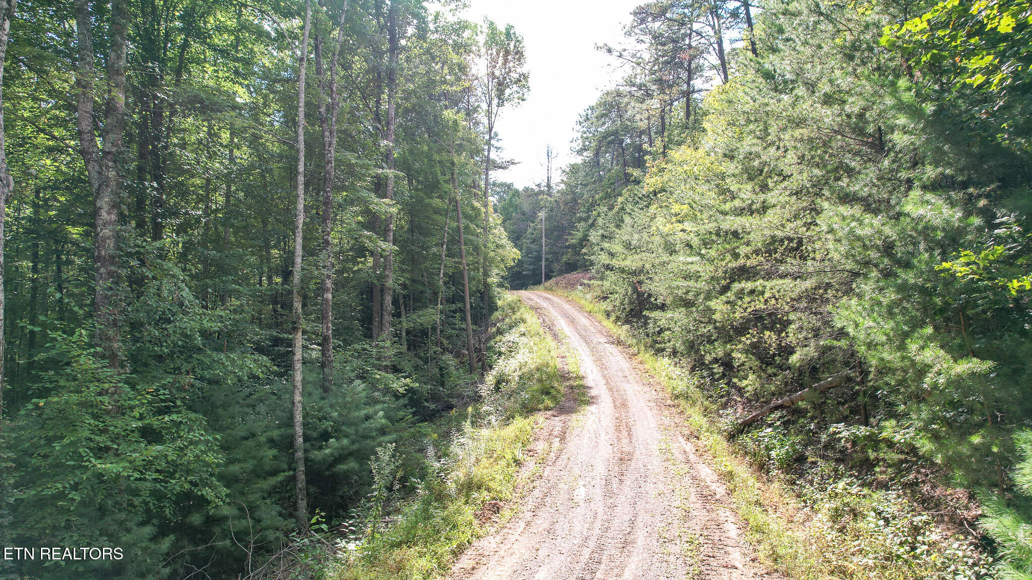 740 Johns Creek Road Del Rio TN 37727
