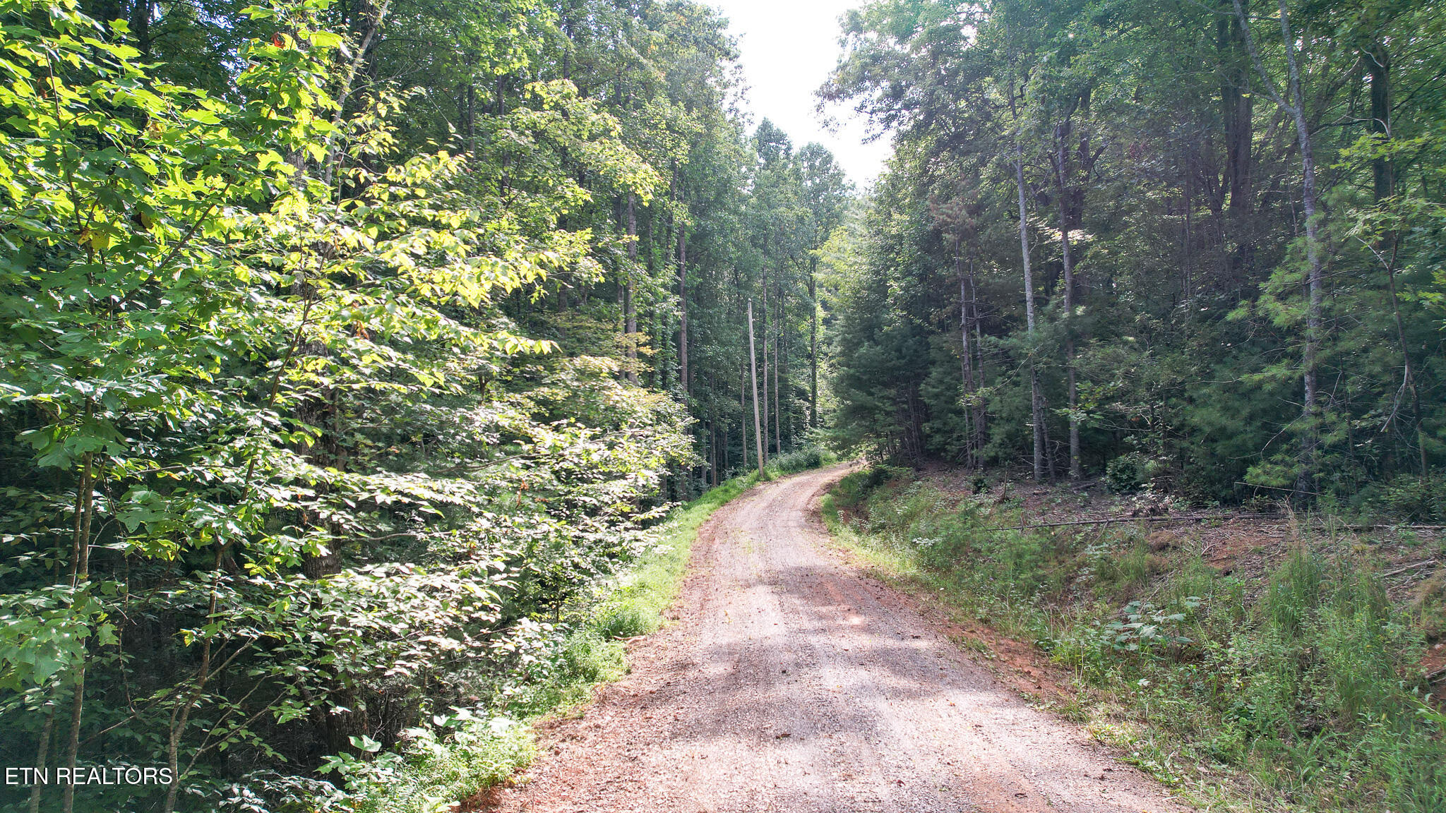 740 Johns Creek Road Del Rio TN 37727