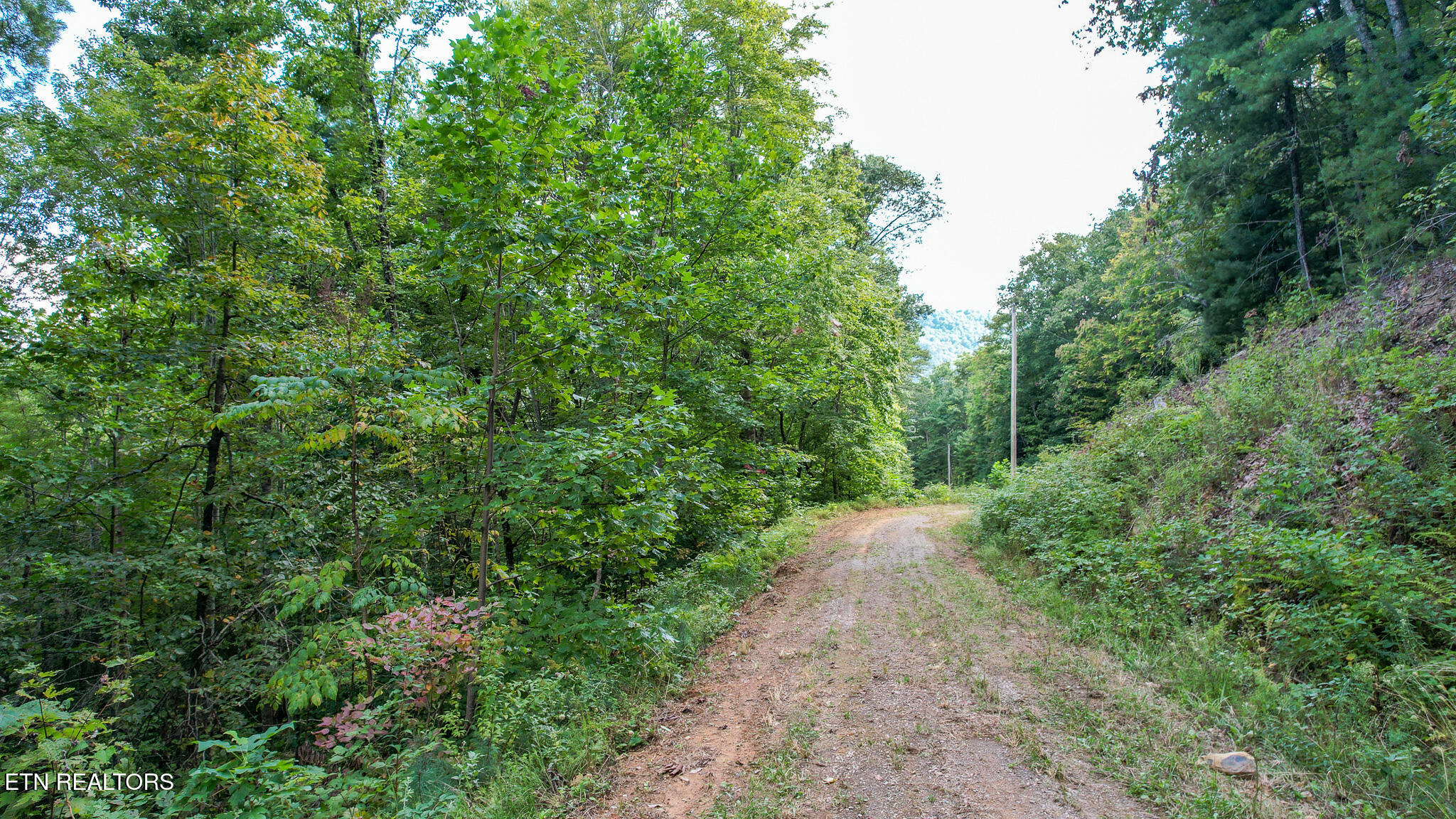 740 Johns Creek Road Del Rio TN 37727