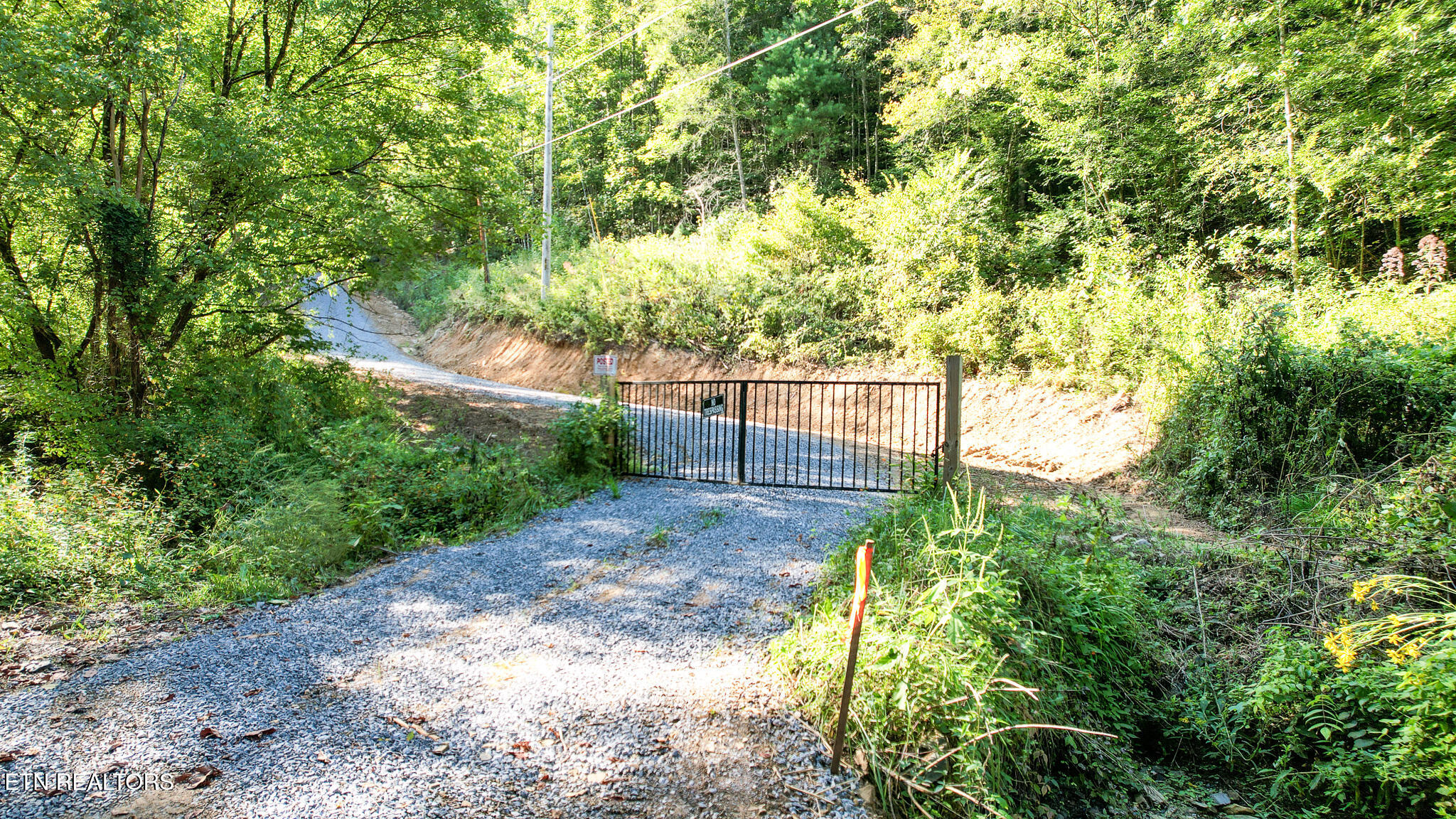 740 Johns Creek Road Del Rio TN 37727