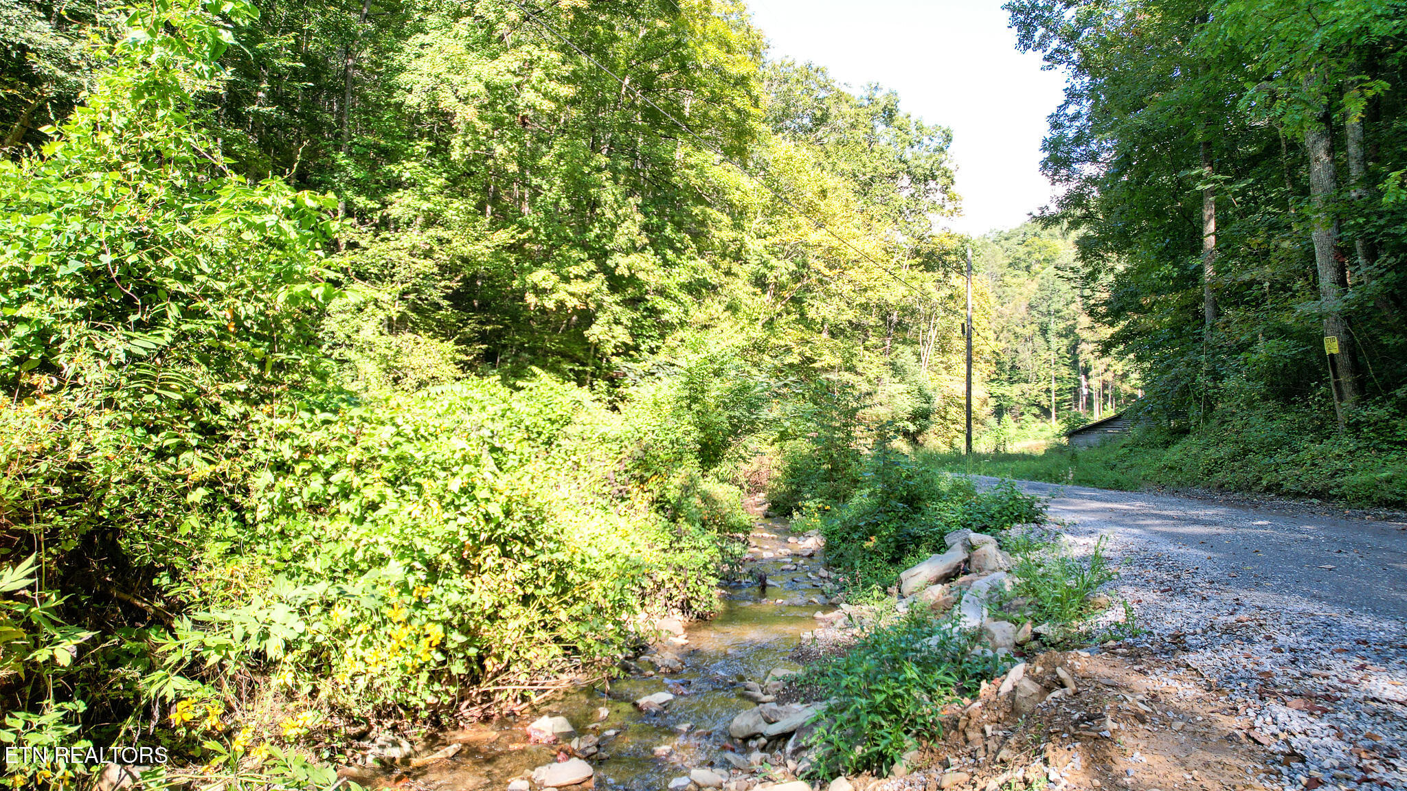 740 Johns Creek Road Del Rio TN 37727
