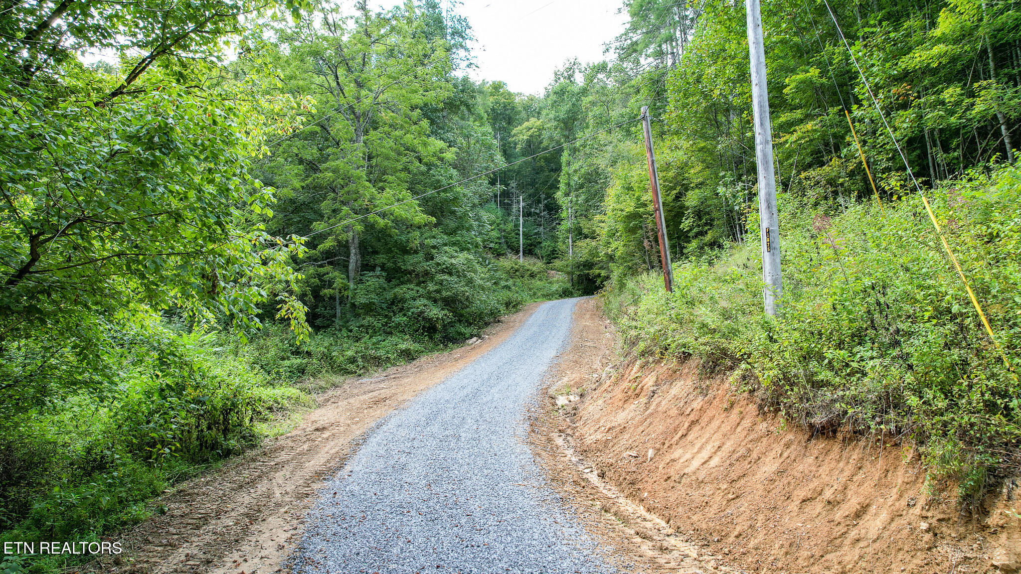 740 Johns Creek Road Del Rio TN 37727