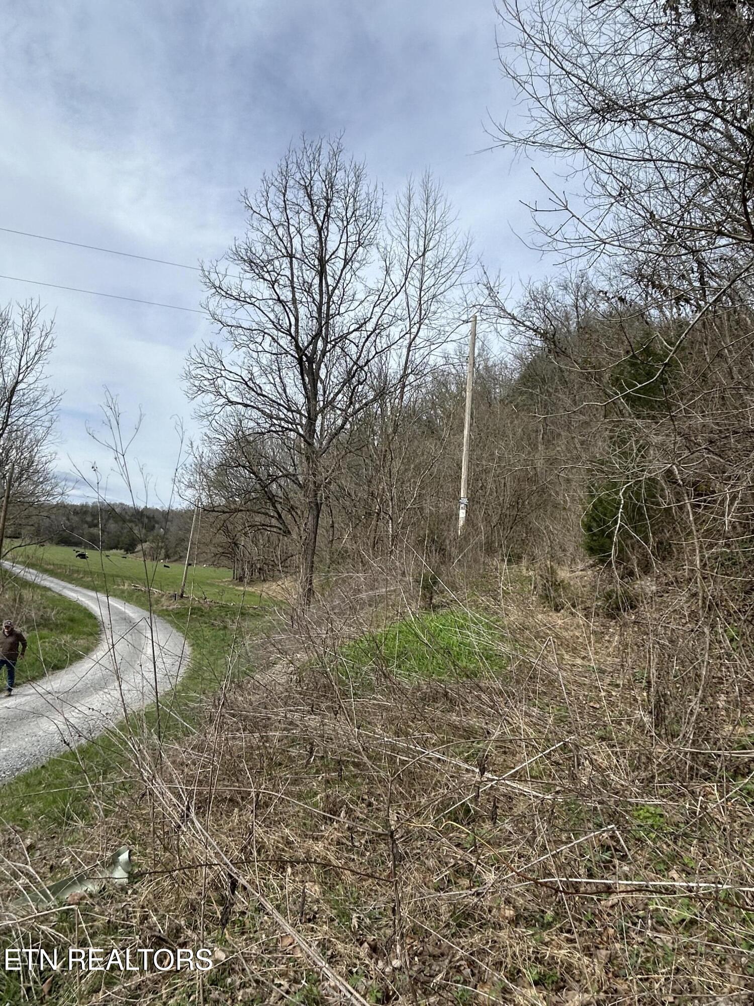 Mulberry Gap Road Sneedville TN 37869