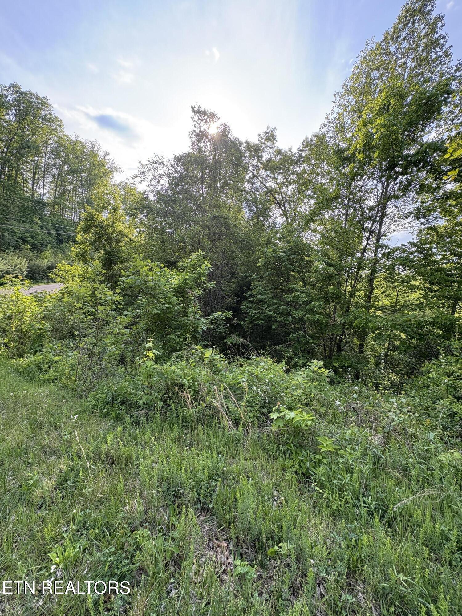 Lot 29 Saddleridge Drive Speedwell TN 37870