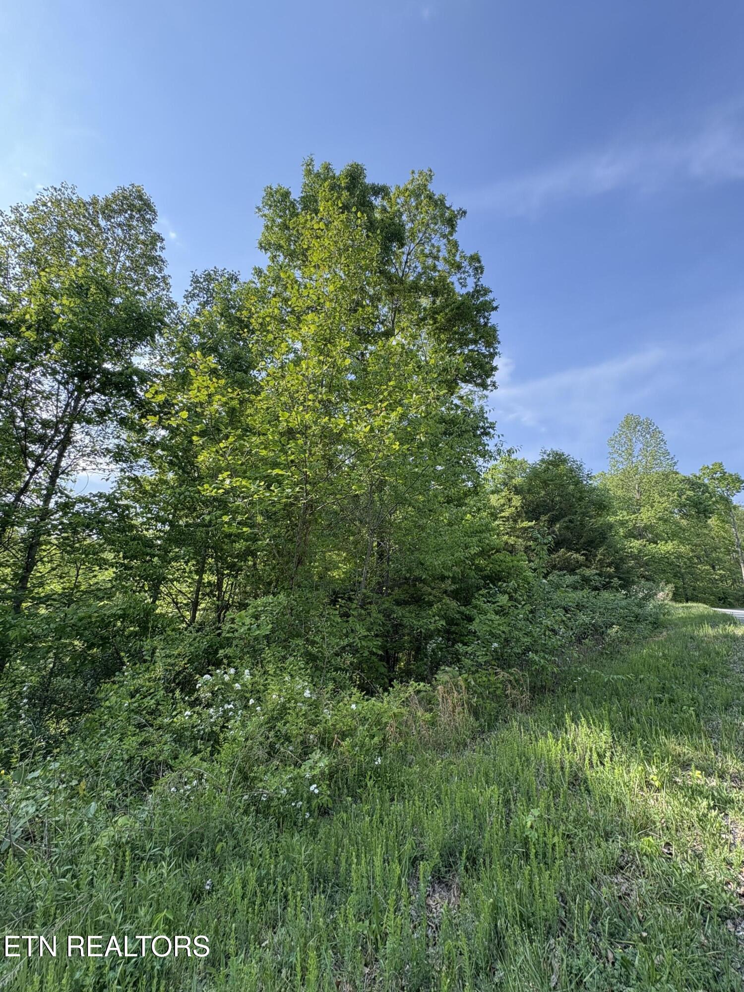 Lot 29 Saddleridge Drive Speedwell TN 37870