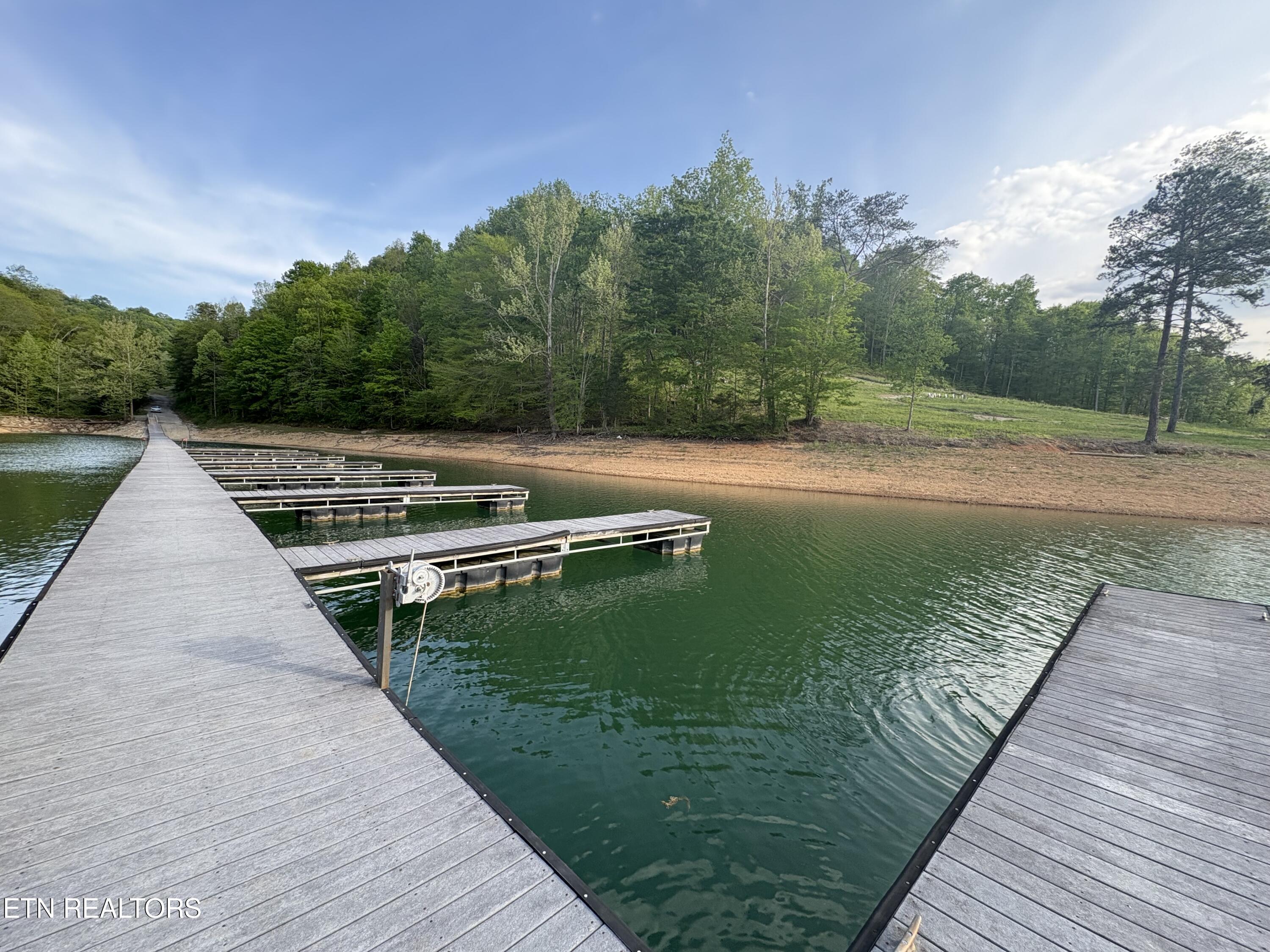 Lot 29 Saddleridge Drive Speedwell TN 37870