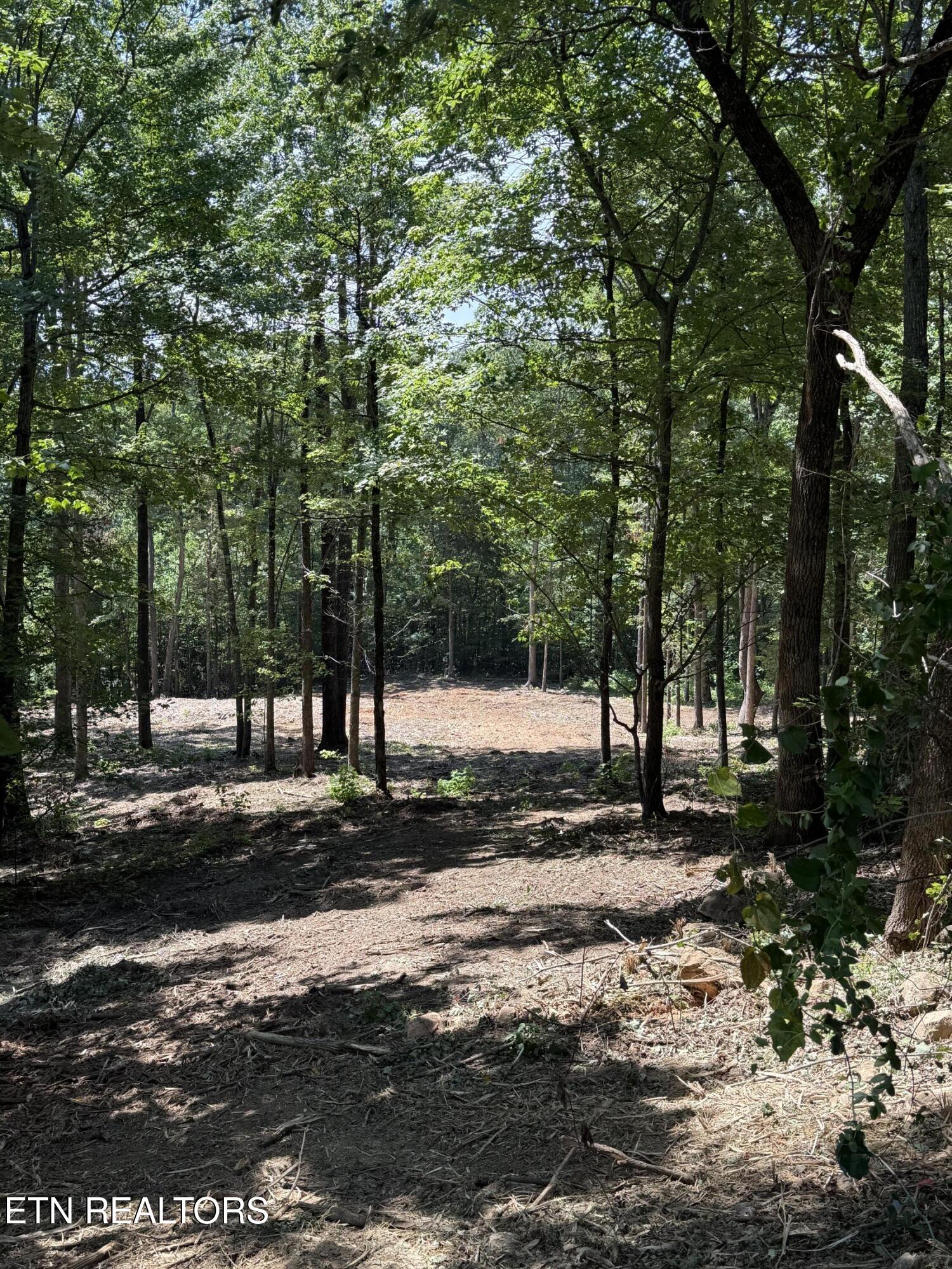 Lot 150 Mountaineer Trail Sevierville TN 37862