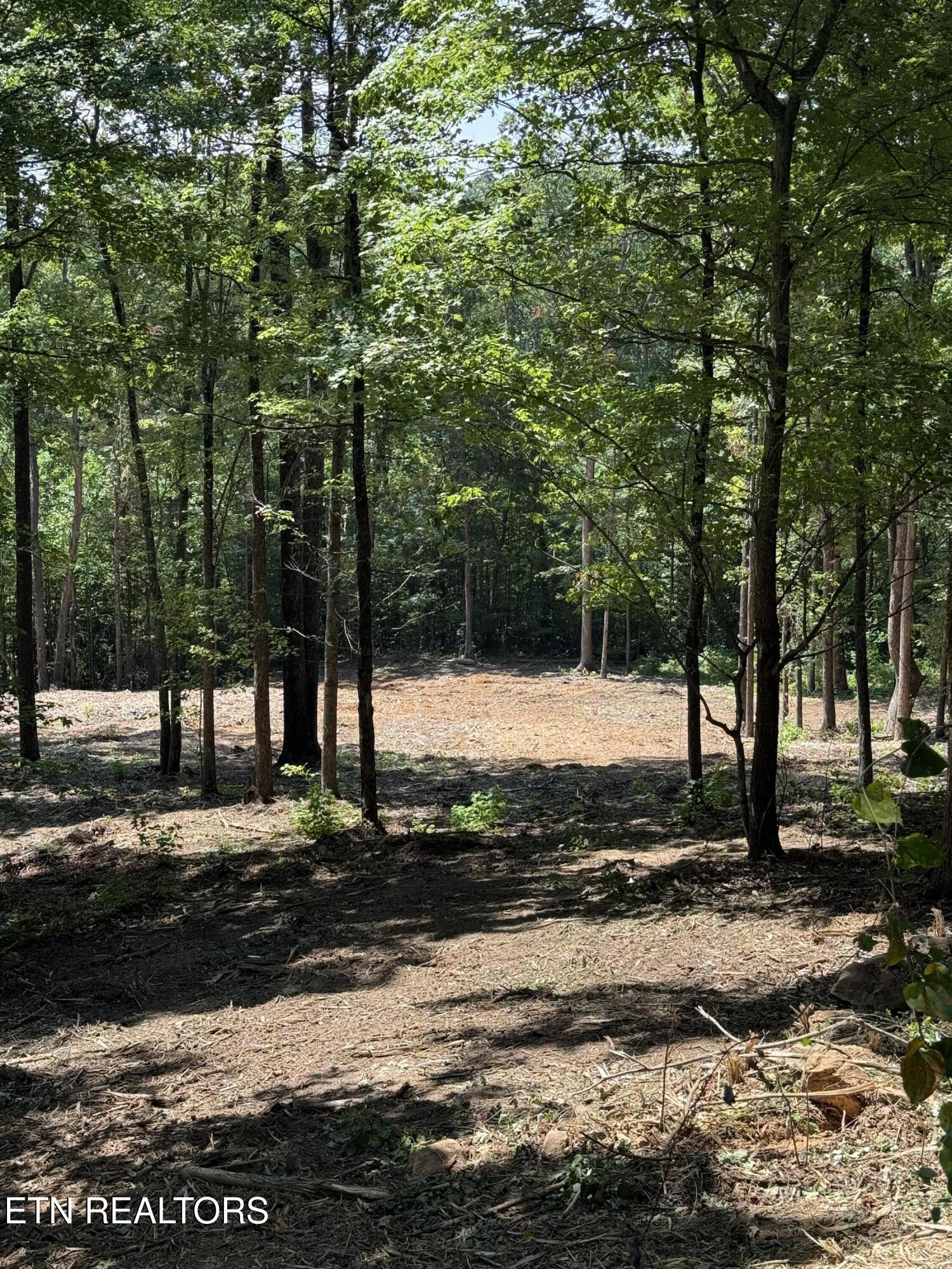 Lot 150 Mountaineer Trail Sevierville TN 37862