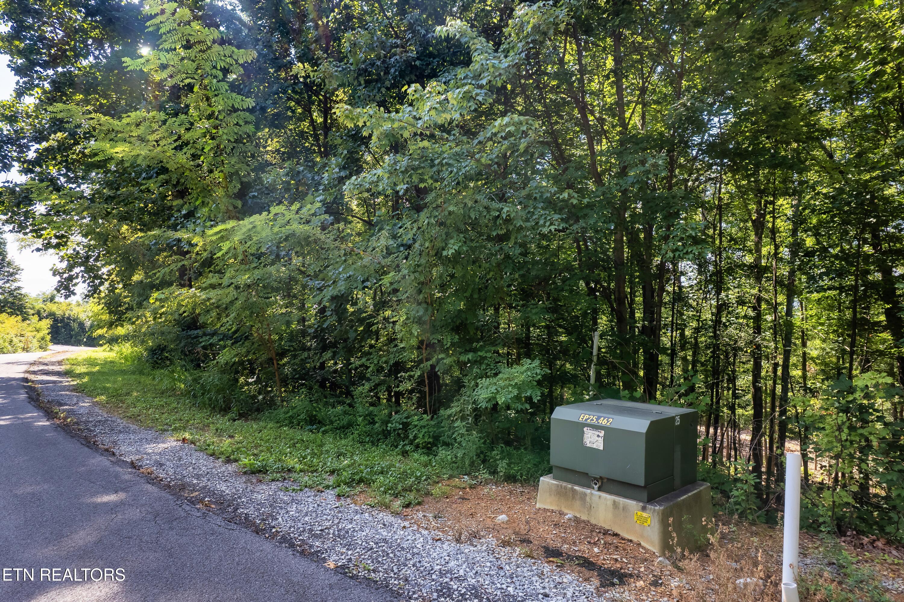 Lot 150 Mountaineer Trail Sevierville TN 37862