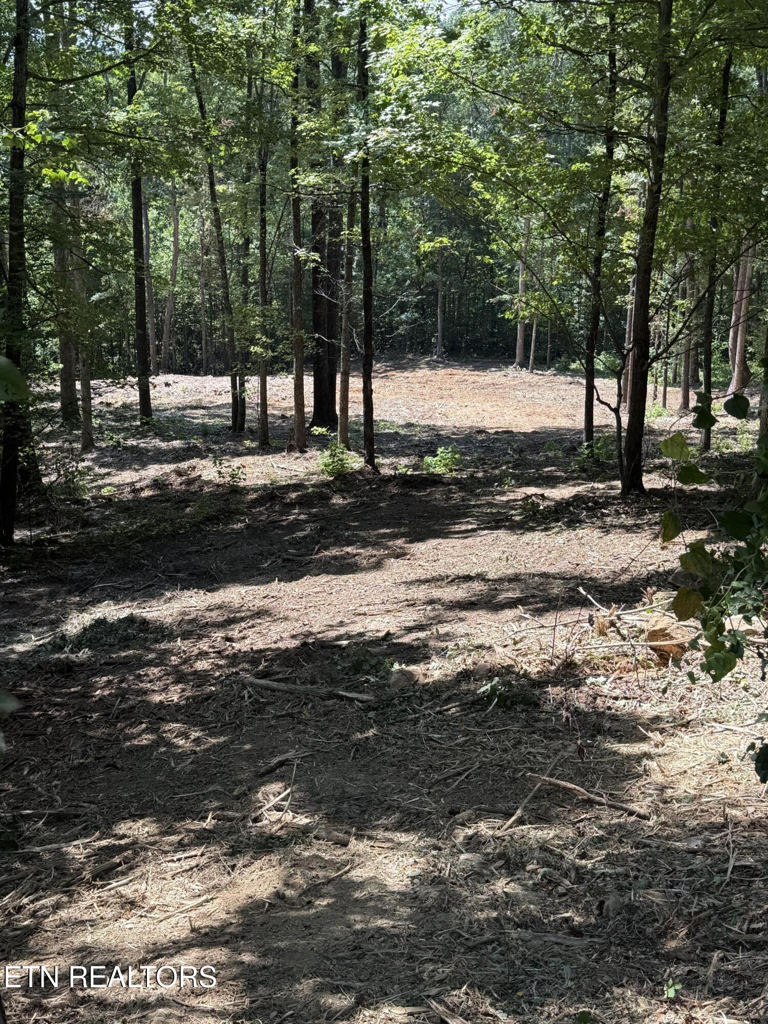 Lot 150 Mountaineer Trail Sevierville TN 37862