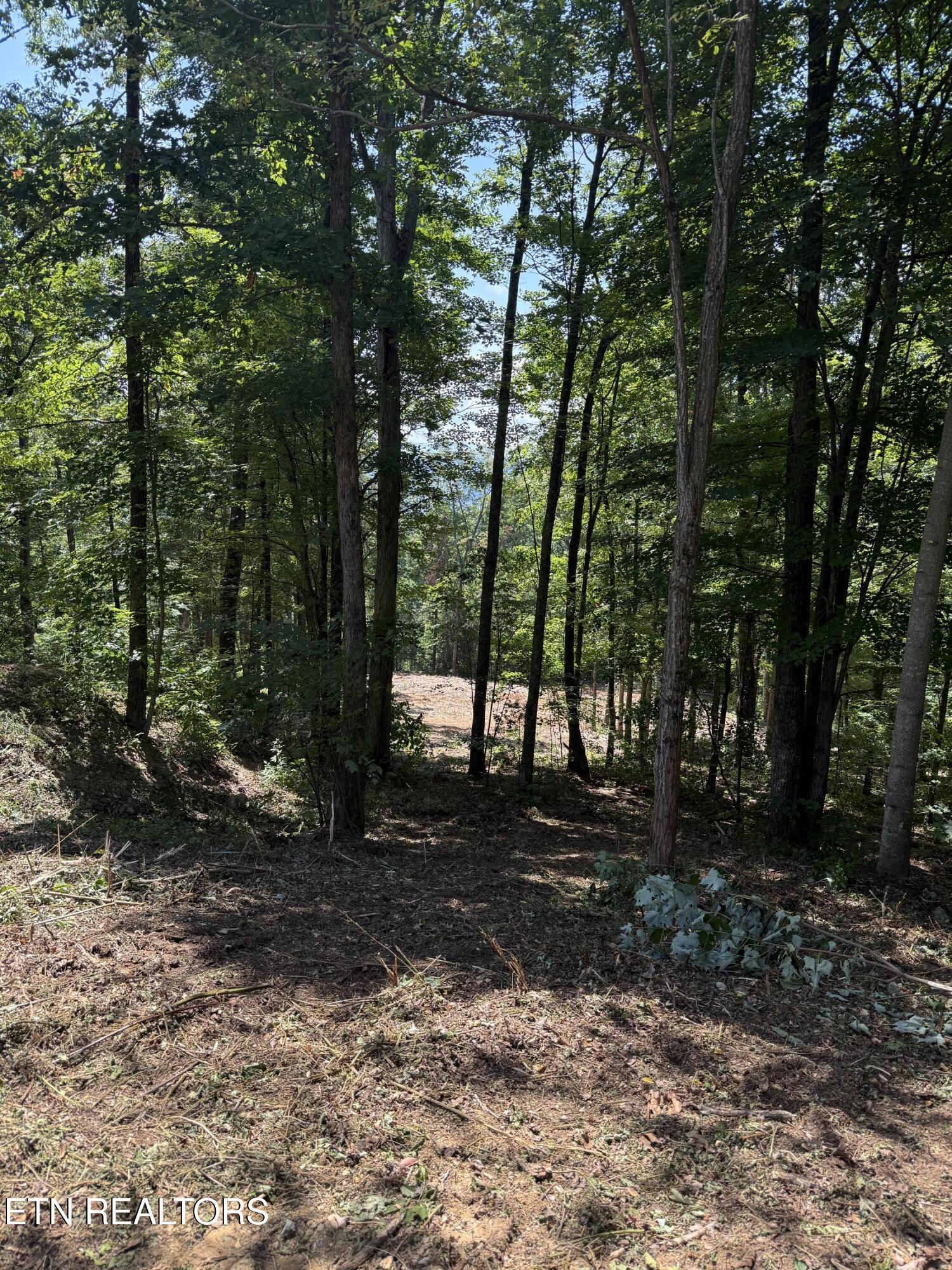 Lot 150 Mountaineer Trail Sevierville TN 37862