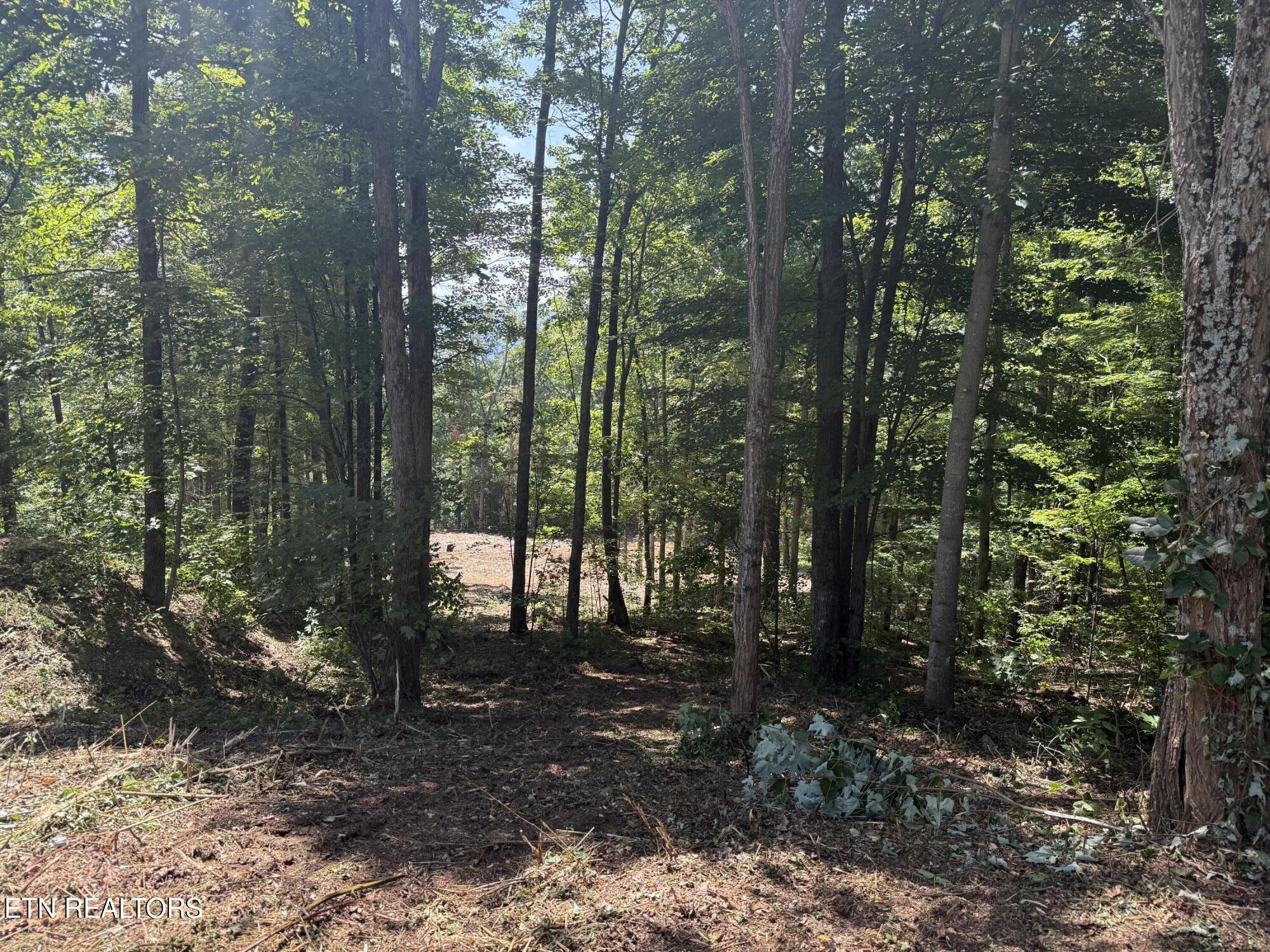 Lot 150 Mountaineer Trail Sevierville TN 37862