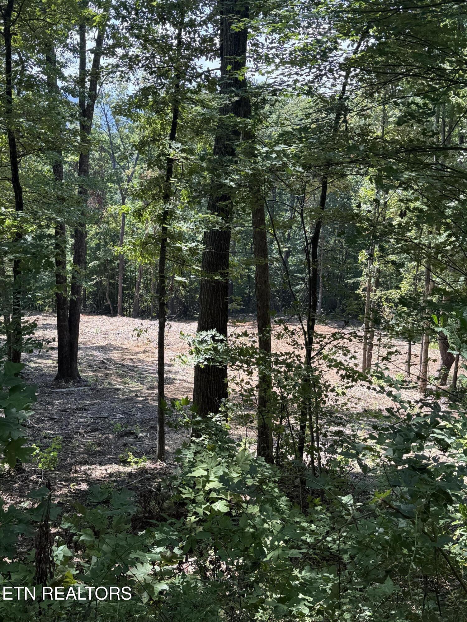 Lot 150 Mountaineer Trail Sevierville TN 37862
