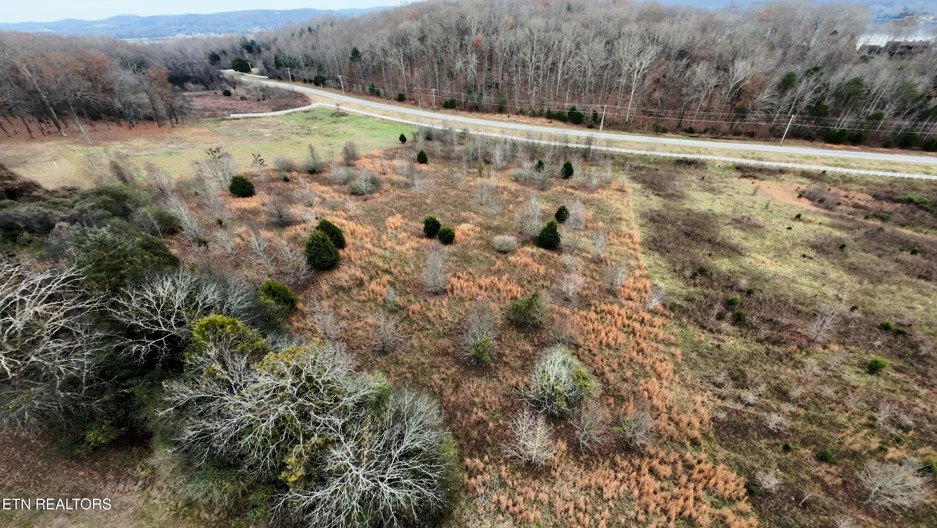 107 Roaming Fawn Drive Rockwood TN 37854