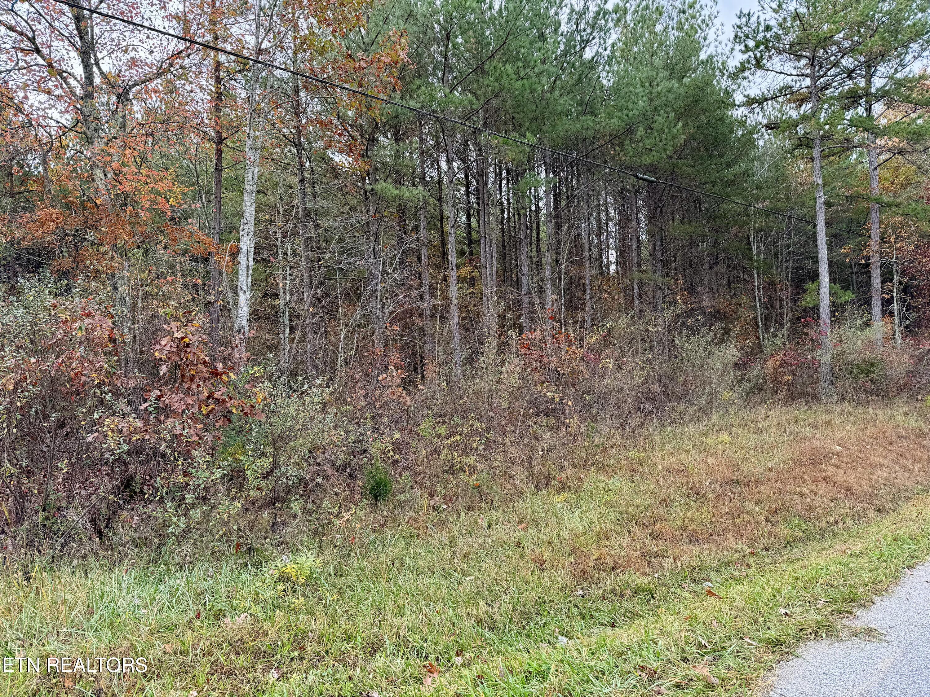 Airport Road Lot 4 Rockwood TN 37854