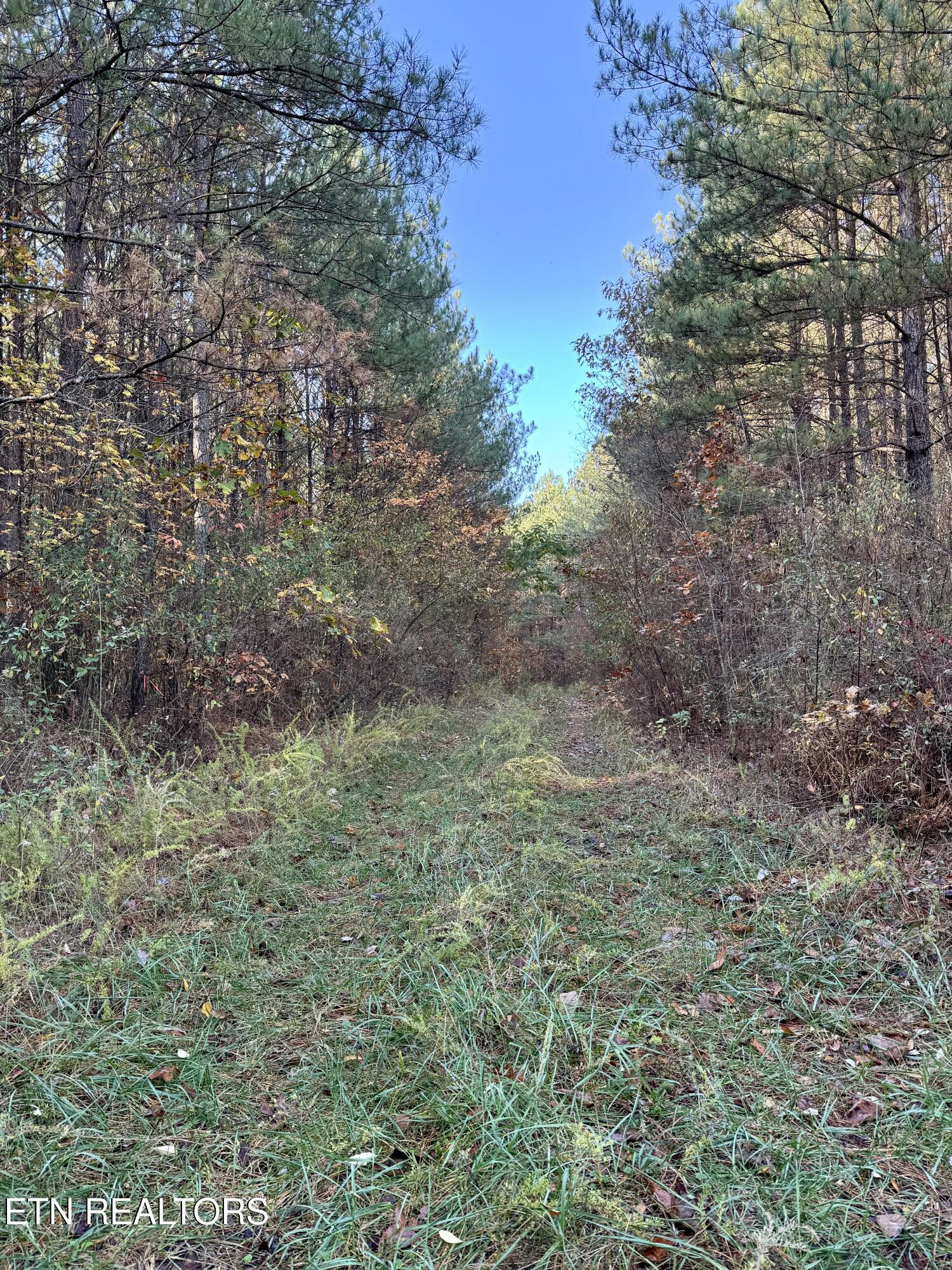 Airport Road Lot 4 Rockwood TN 37854