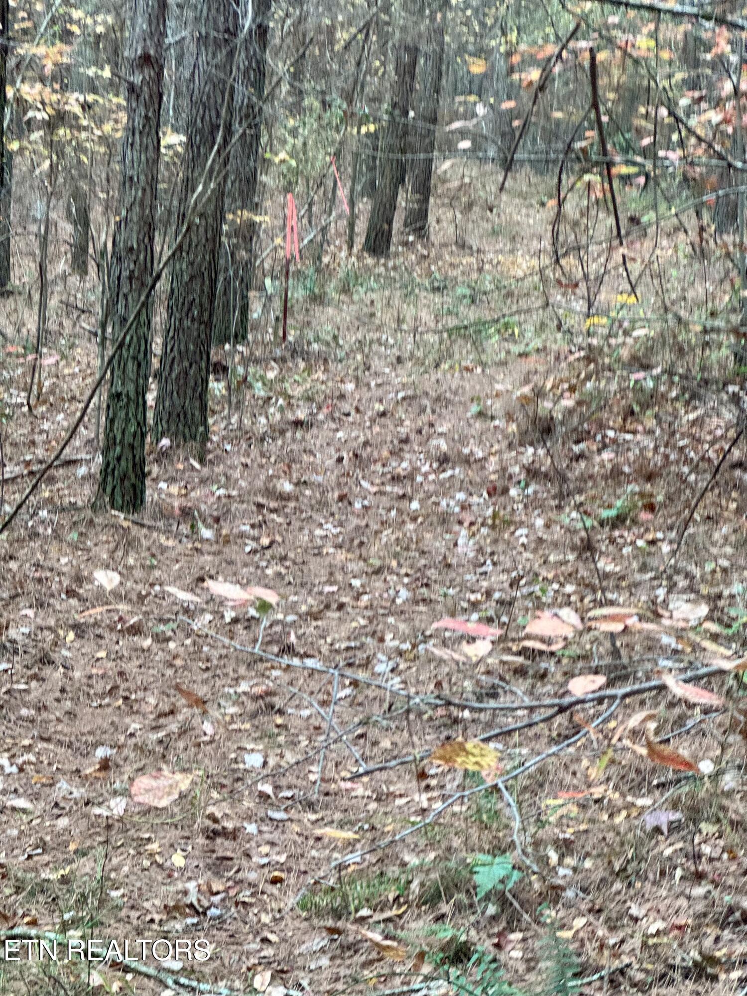 Airport Road Lot 4 Rockwood TN 37854