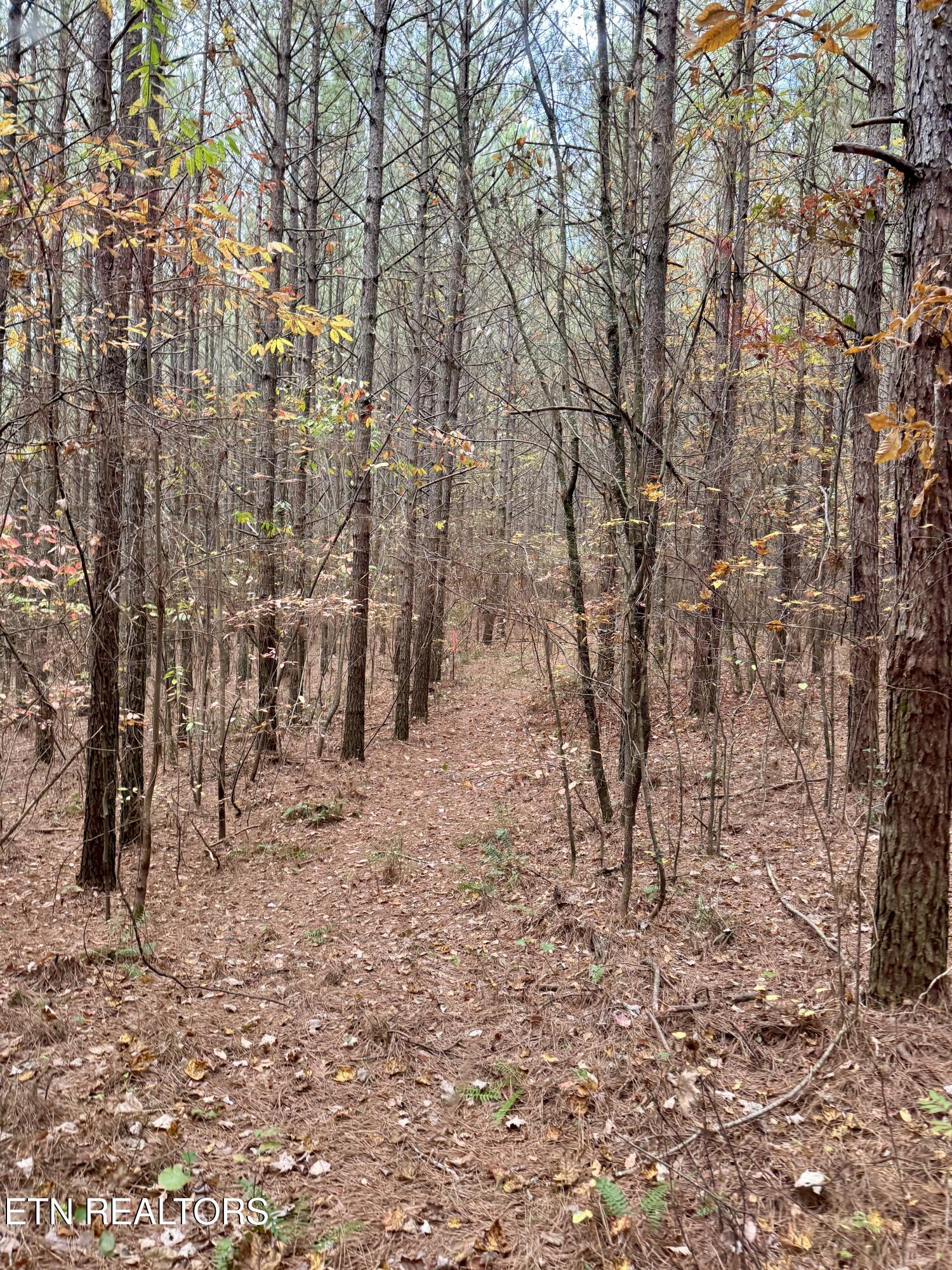Airport Road Lot 4 Rockwood TN 37854