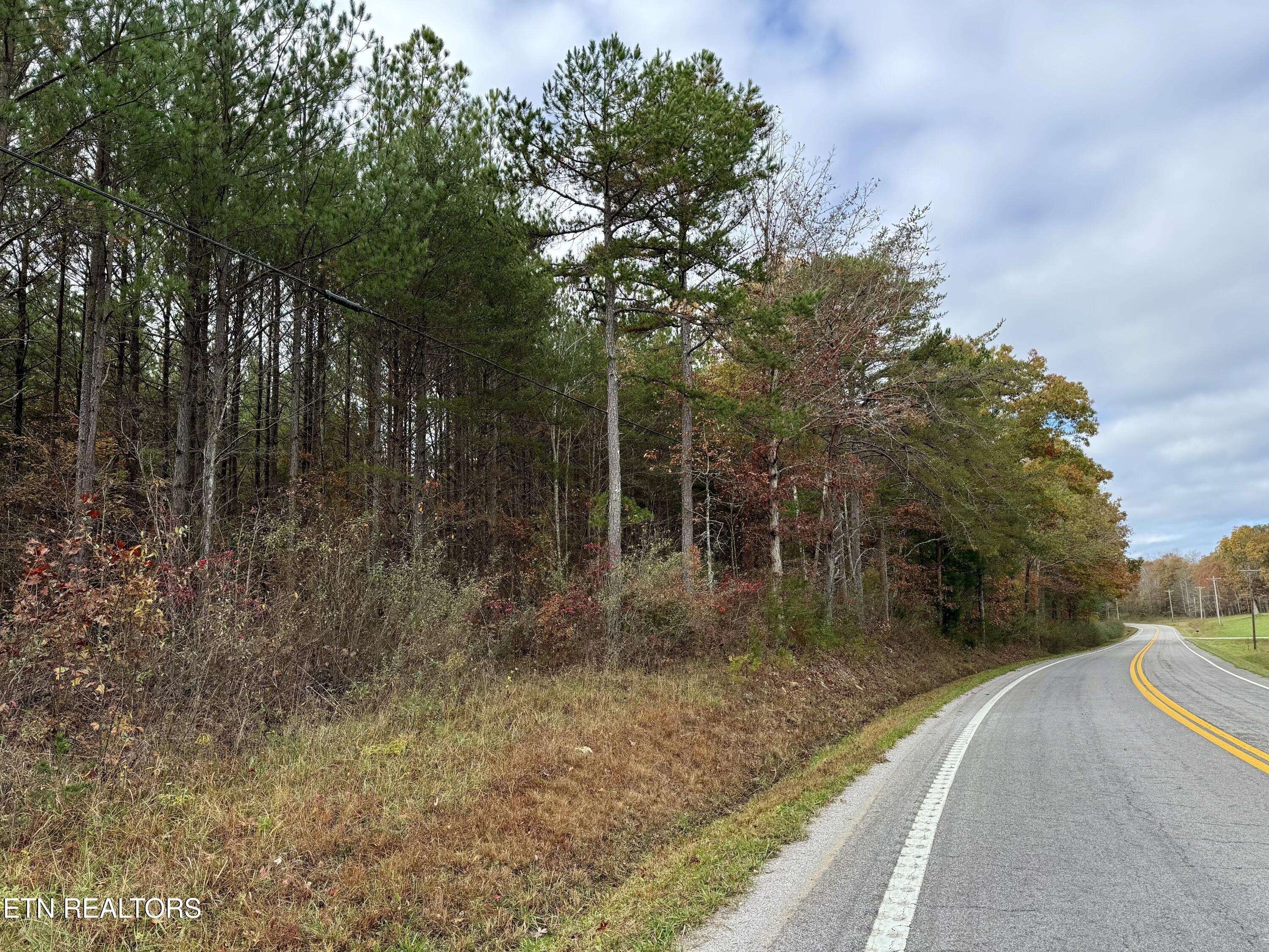 Airport Road Lot 4 Rockwood TN 37854