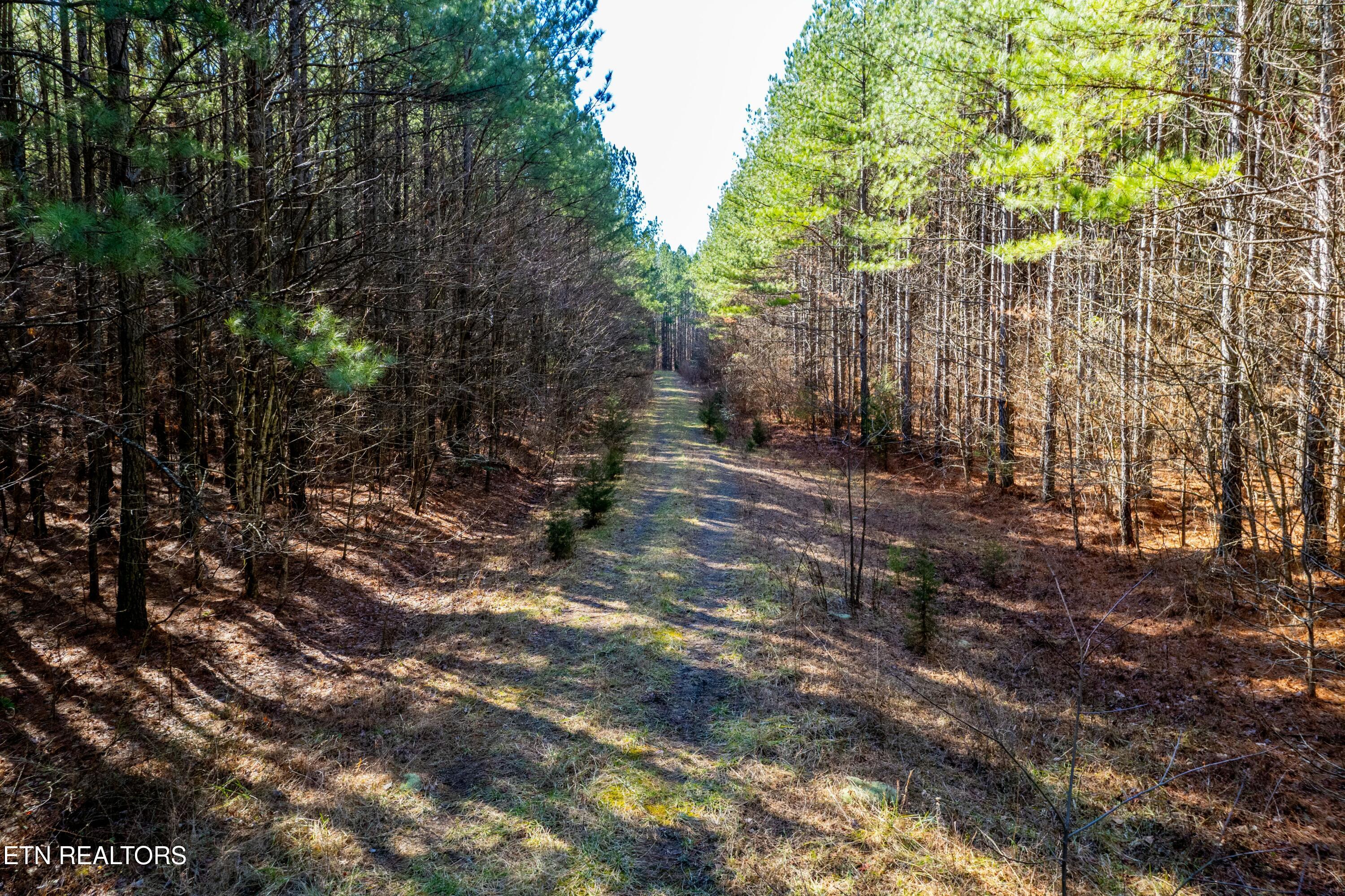 Airport Road Lot 4 Rockwood TN 37854
