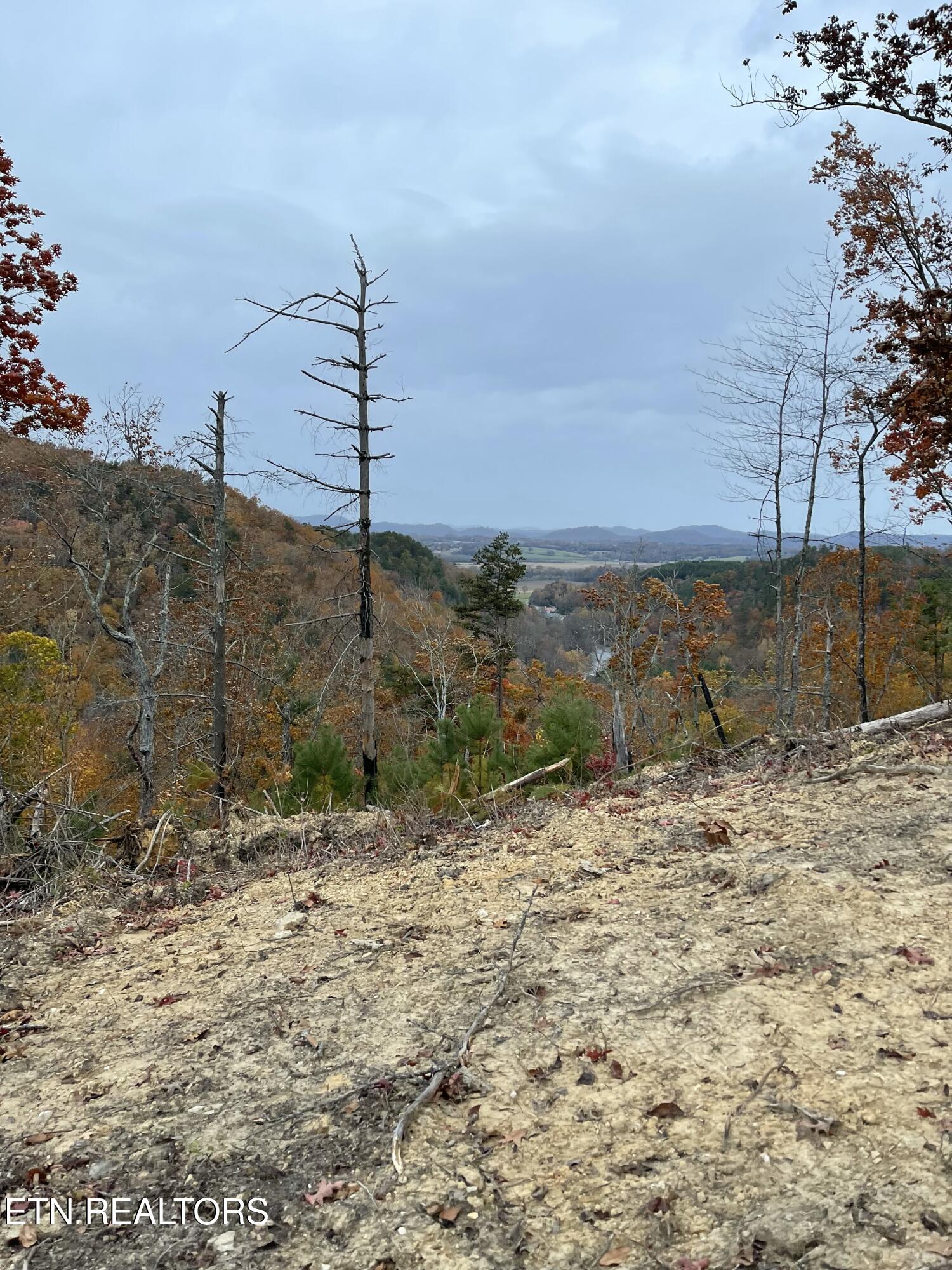 157 Quarry Creek Road Tellico Plains TN 37385