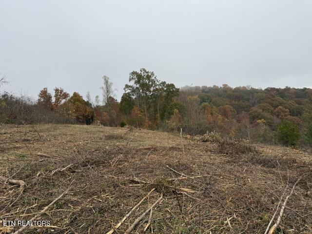 Lot #64 Pinnacle Lane Lafollette TN 37766