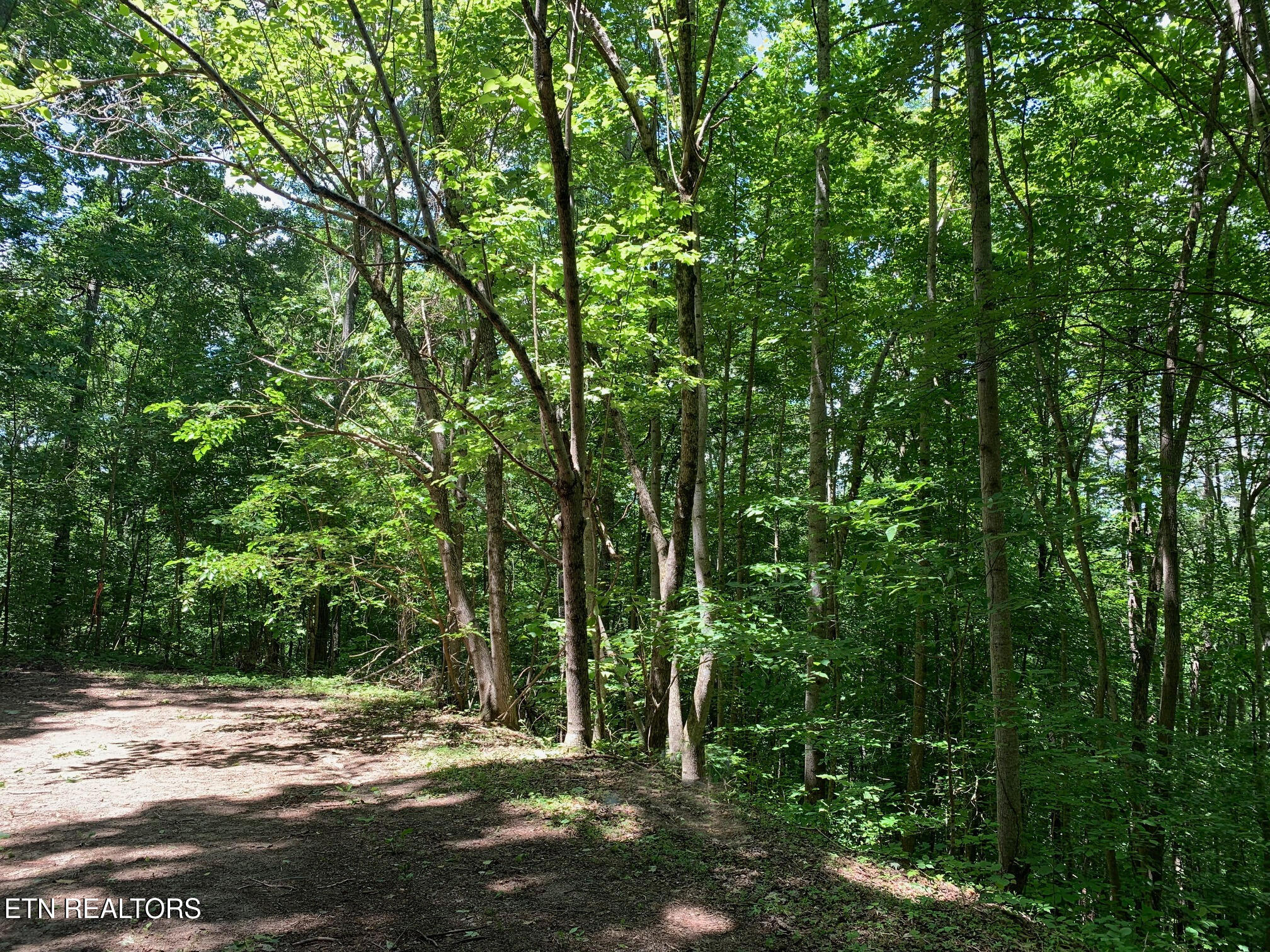 S Cove Road Maynardville TN 37807