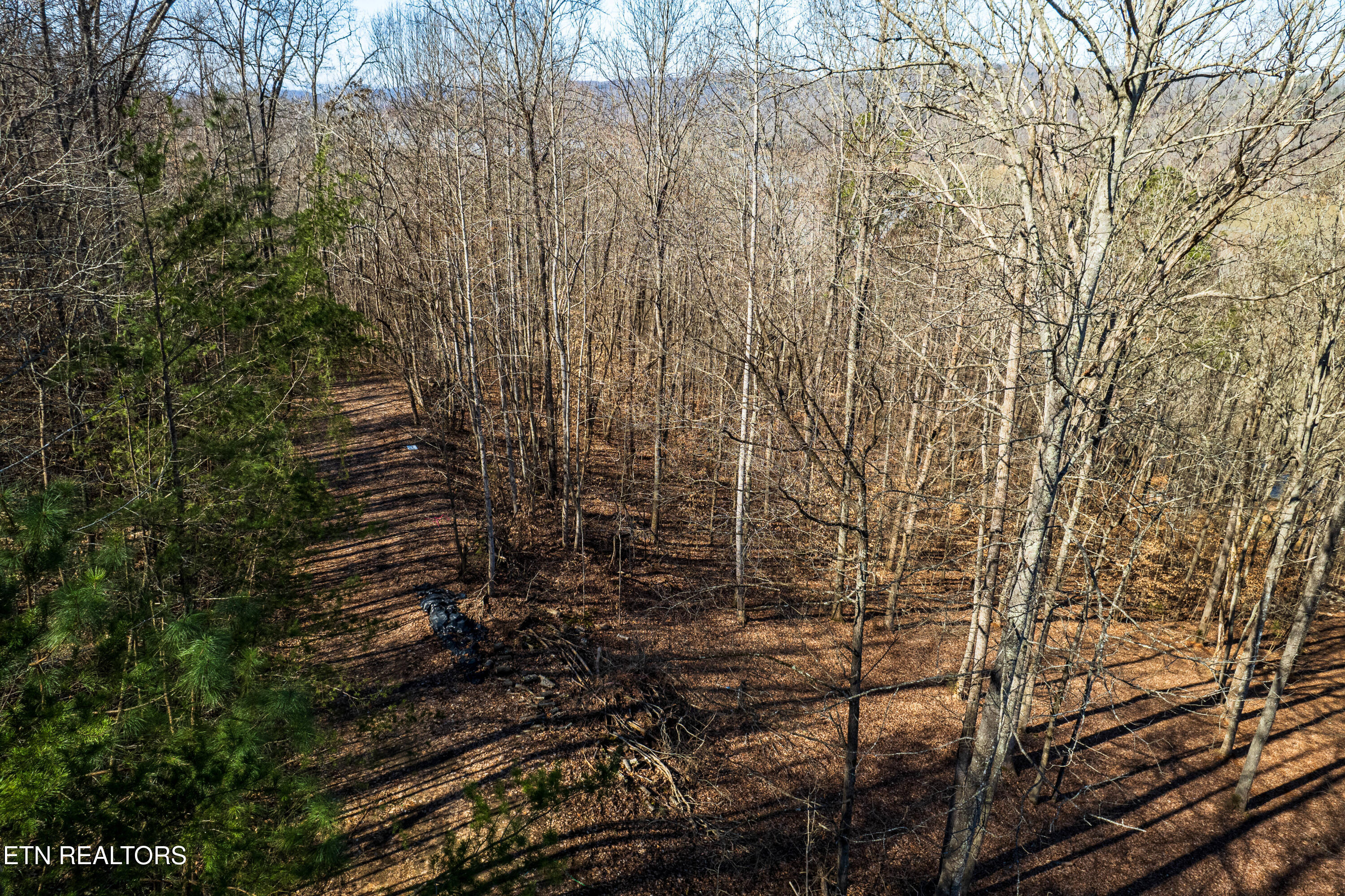 S Cove Road Maynardville TN 37807