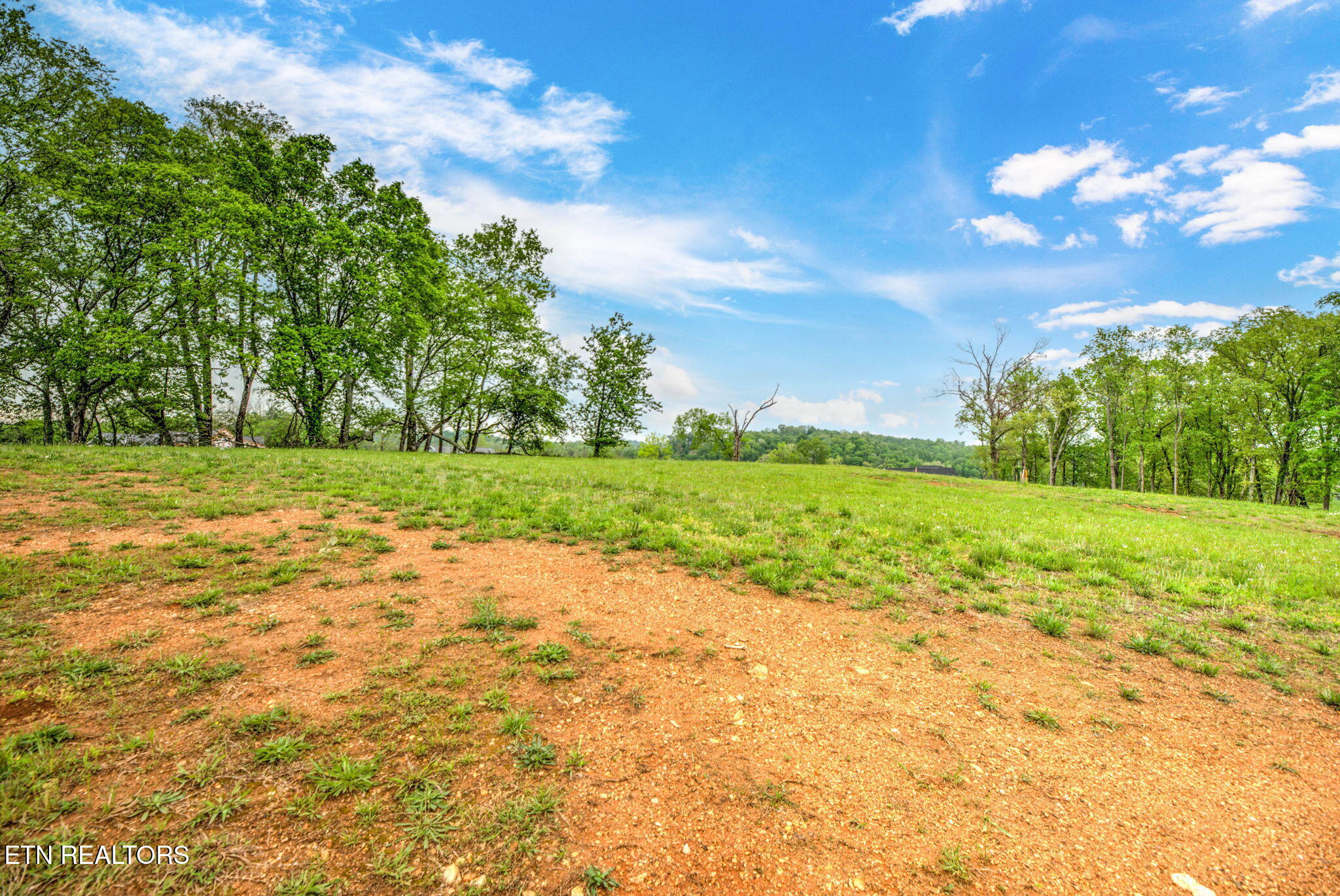 112 Silver Fox Way Loudon TN 37774