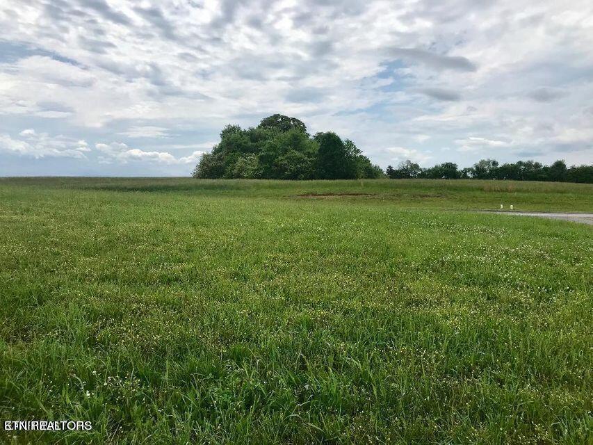 110 Whippoorwill Drive Vonore TN 37885