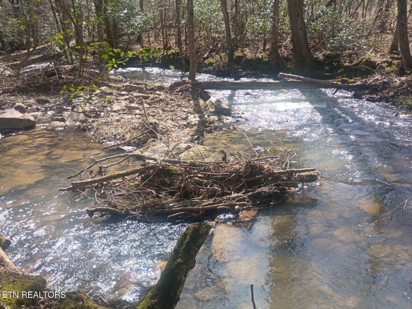 247 Copperhead Road Oakdale TN 37829