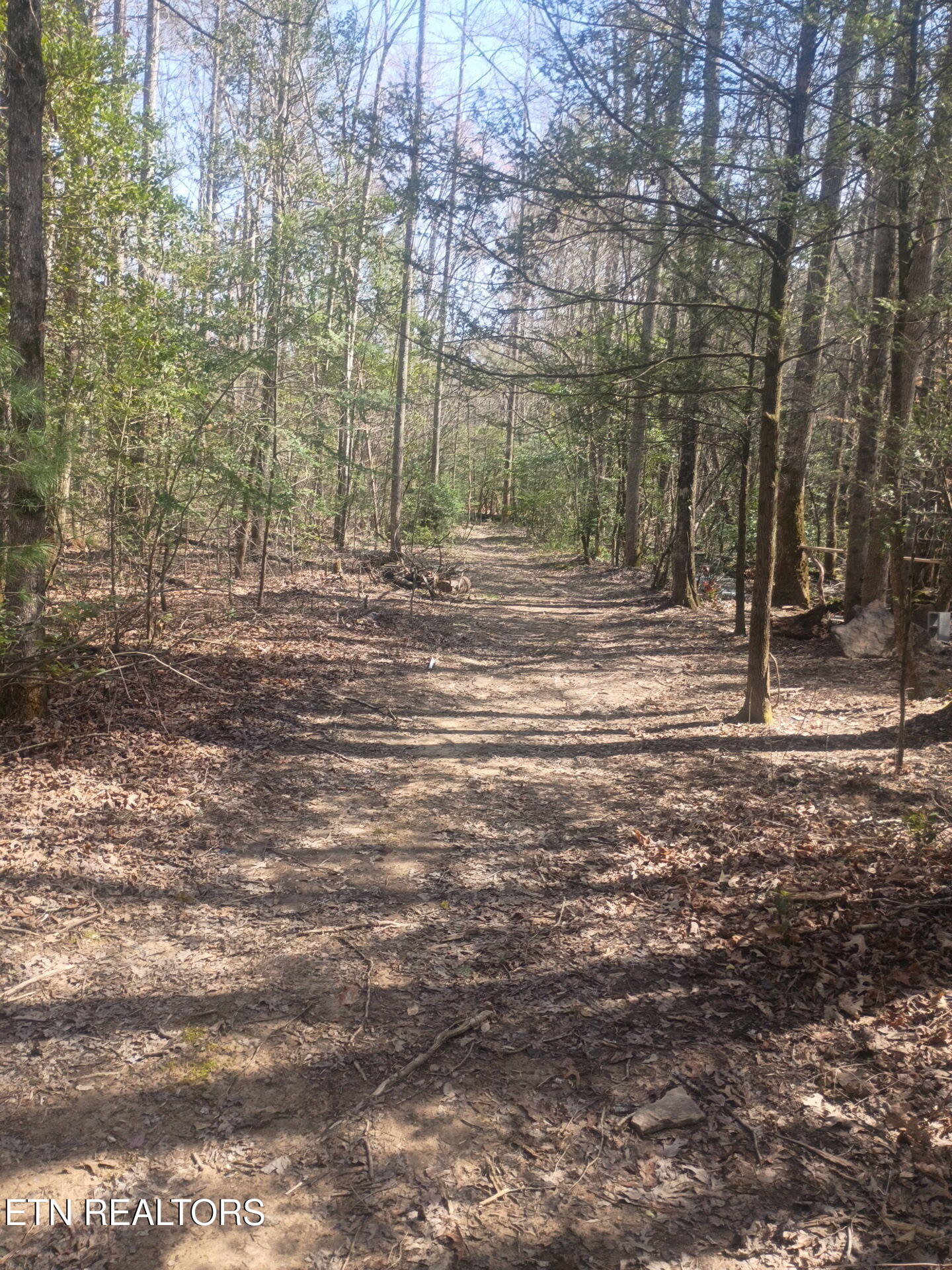 247 Copperhead Road Oakdale TN 37829